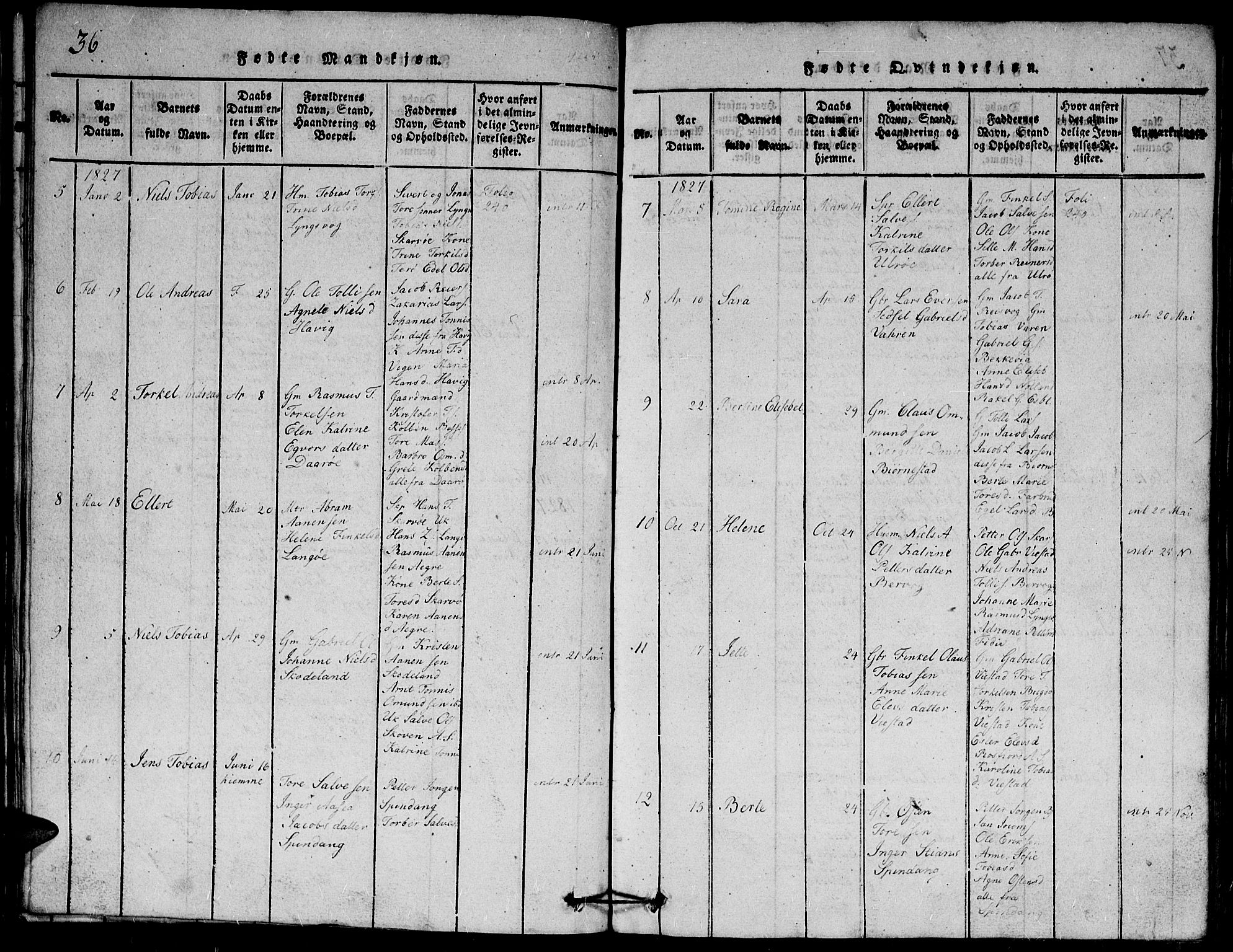 Herad sokneprestkontor, AV/SAK-1111-0018/F/Fb/Fbb/L0001: Parish register (copy) no. B 1, 1815-1852, p. 36