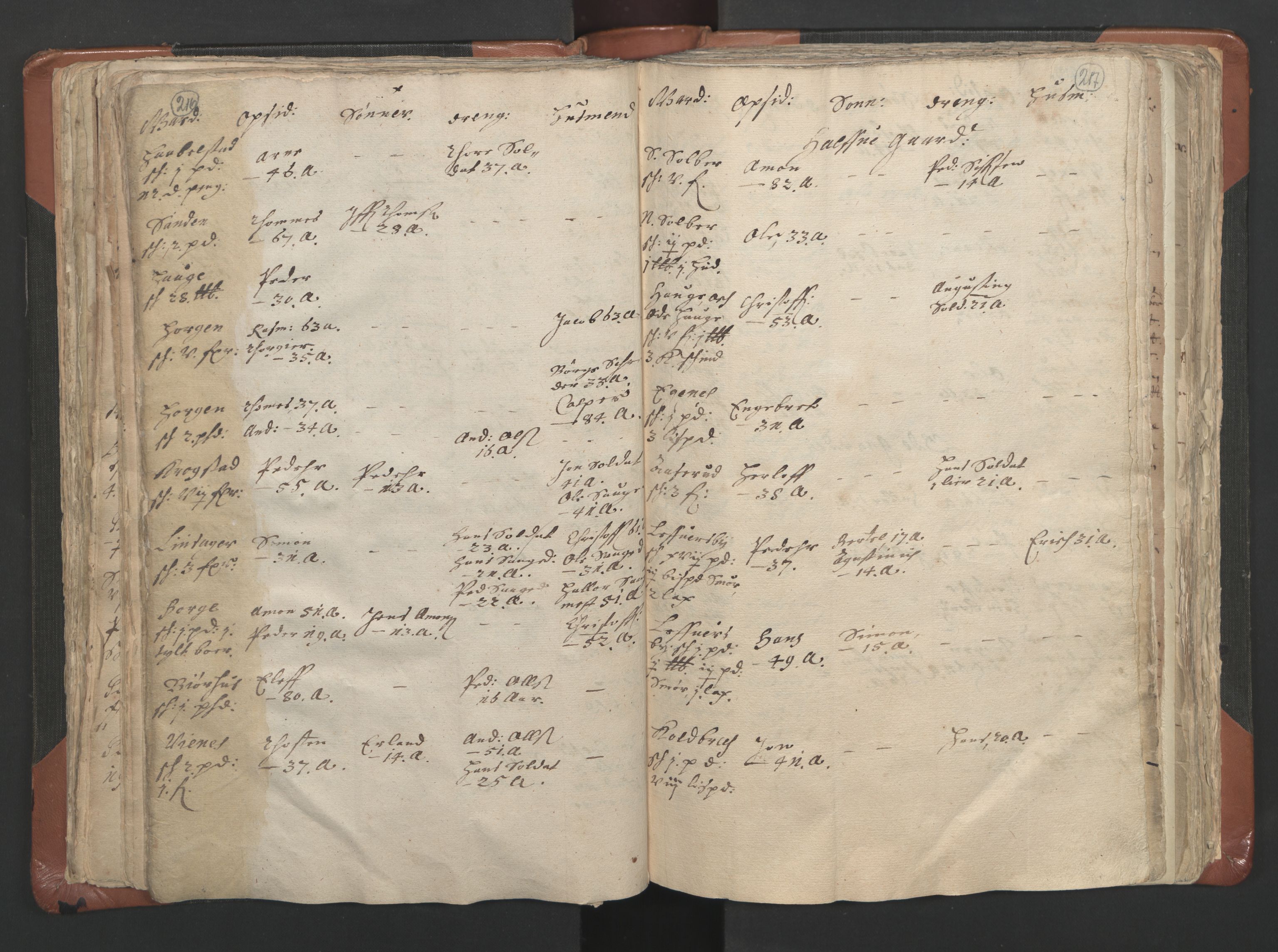 RA, Vicar's Census 1664-1666, no. 9: Bragernes deanery, 1664-1666, p. 216-217