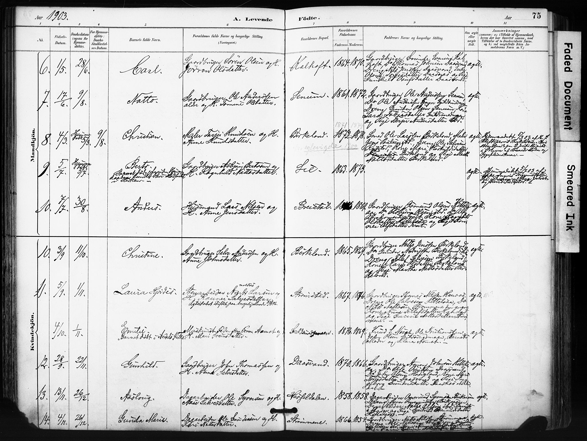 Evje sokneprestkontor, AV/SAK-1111-0008/F/Fa/Fab/L0003: Parish register (official) no. A 3, 1884-1909, p. 75