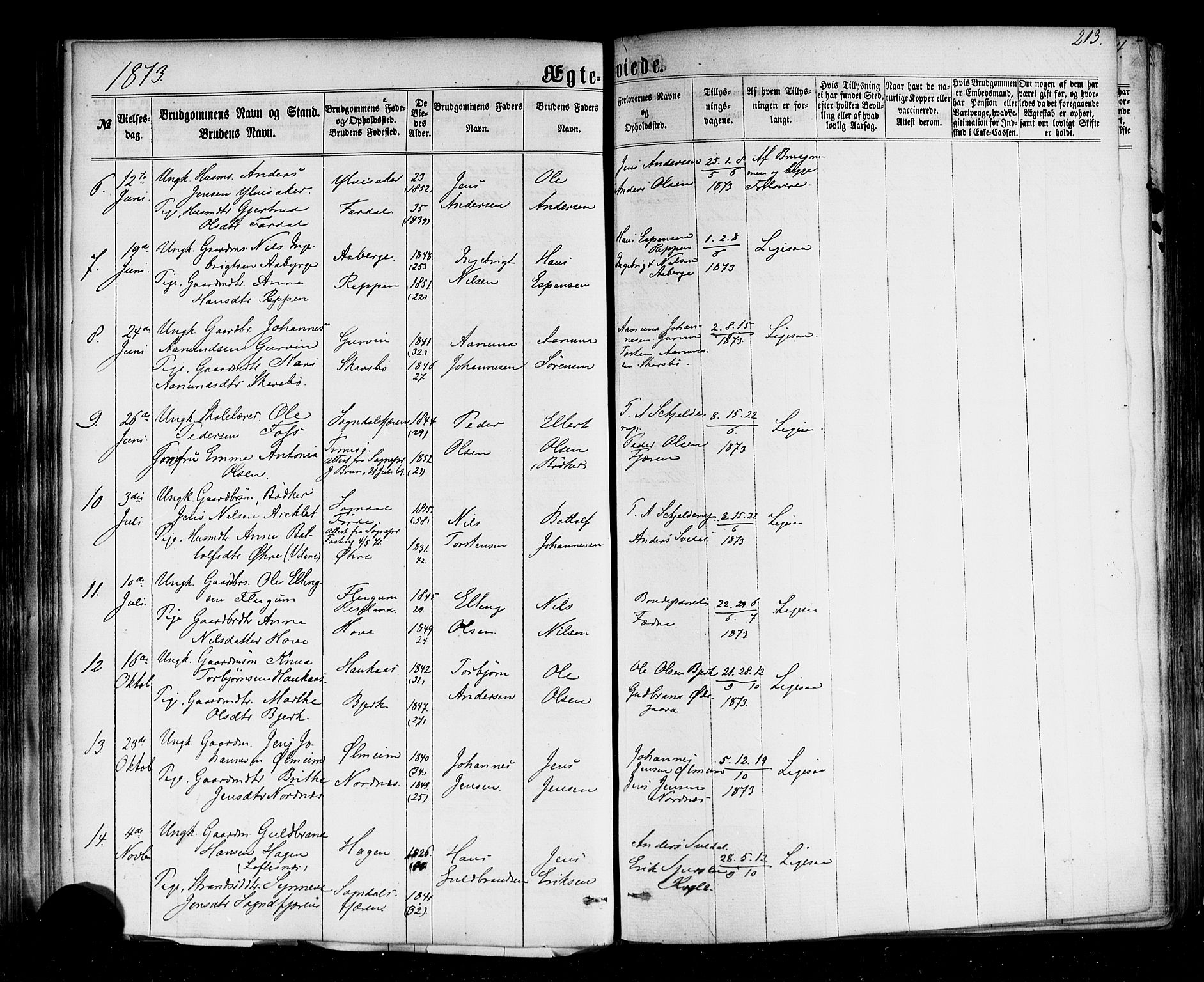 Sogndal sokneprestembete, AV/SAB-A-81301/H/Haa/Haaa/L0013: Parish register (official) no. A 13, 1859-1877, p. 213