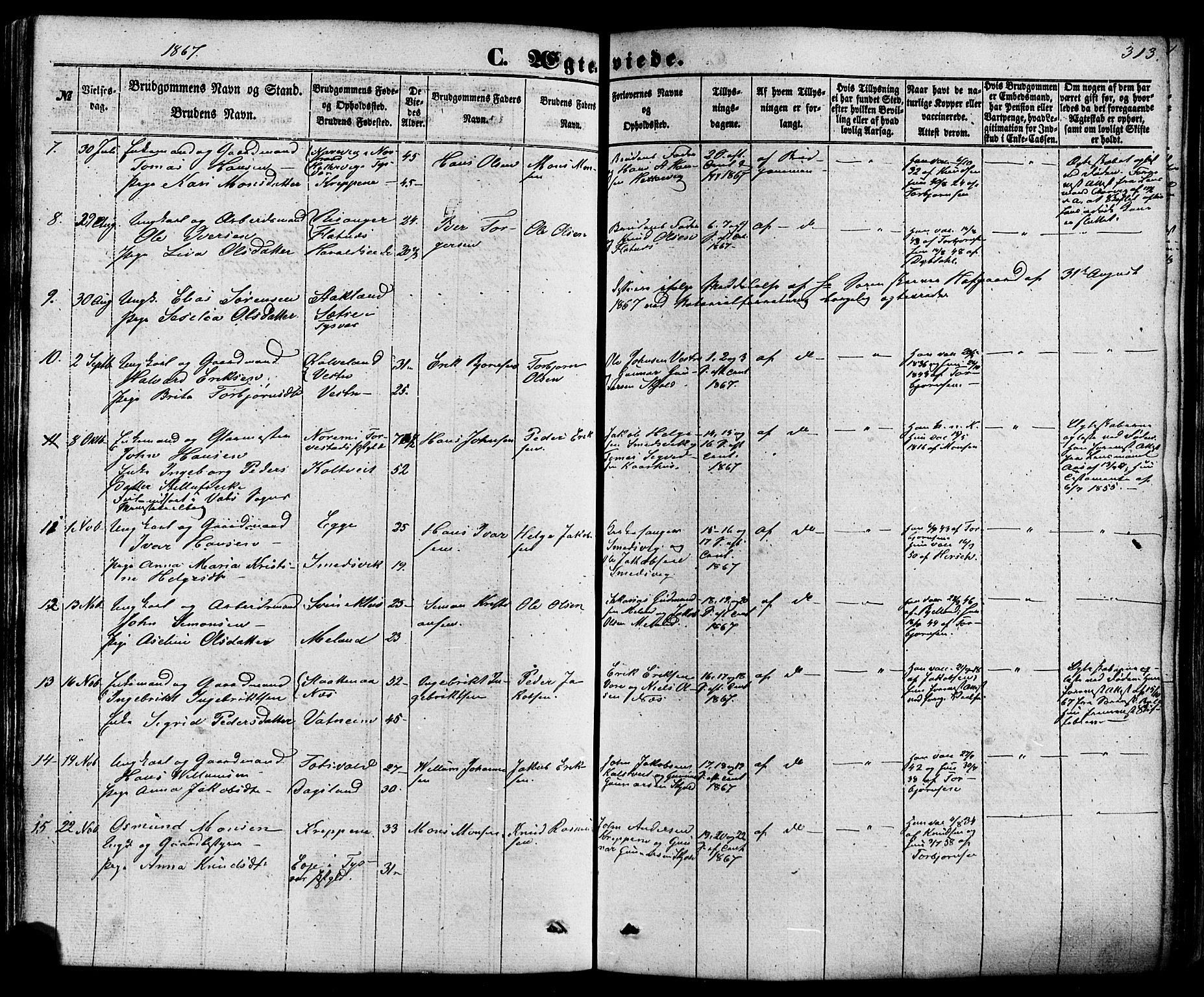 Skjold sokneprestkontor, AV/SAST-A-101847/H/Ha/Haa/L0008: Parish register (official) no. A 8, 1856-1882, p. 313