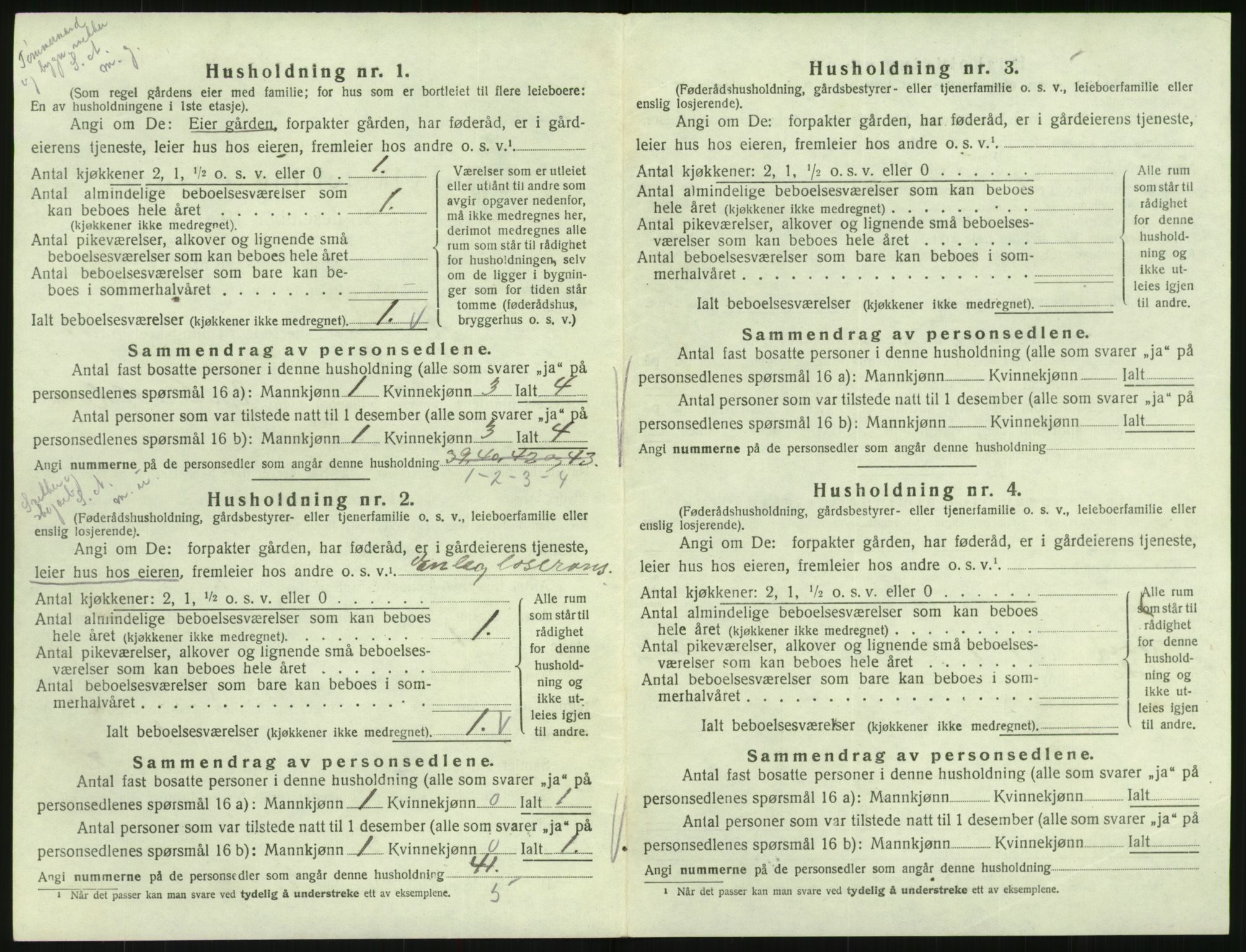 SAK, 1920 census for Hornnes, 1920, p. 220