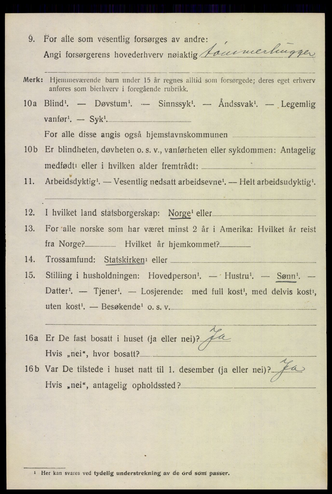 SAH, 1920 census for Trysil, 1920, p. 10616
