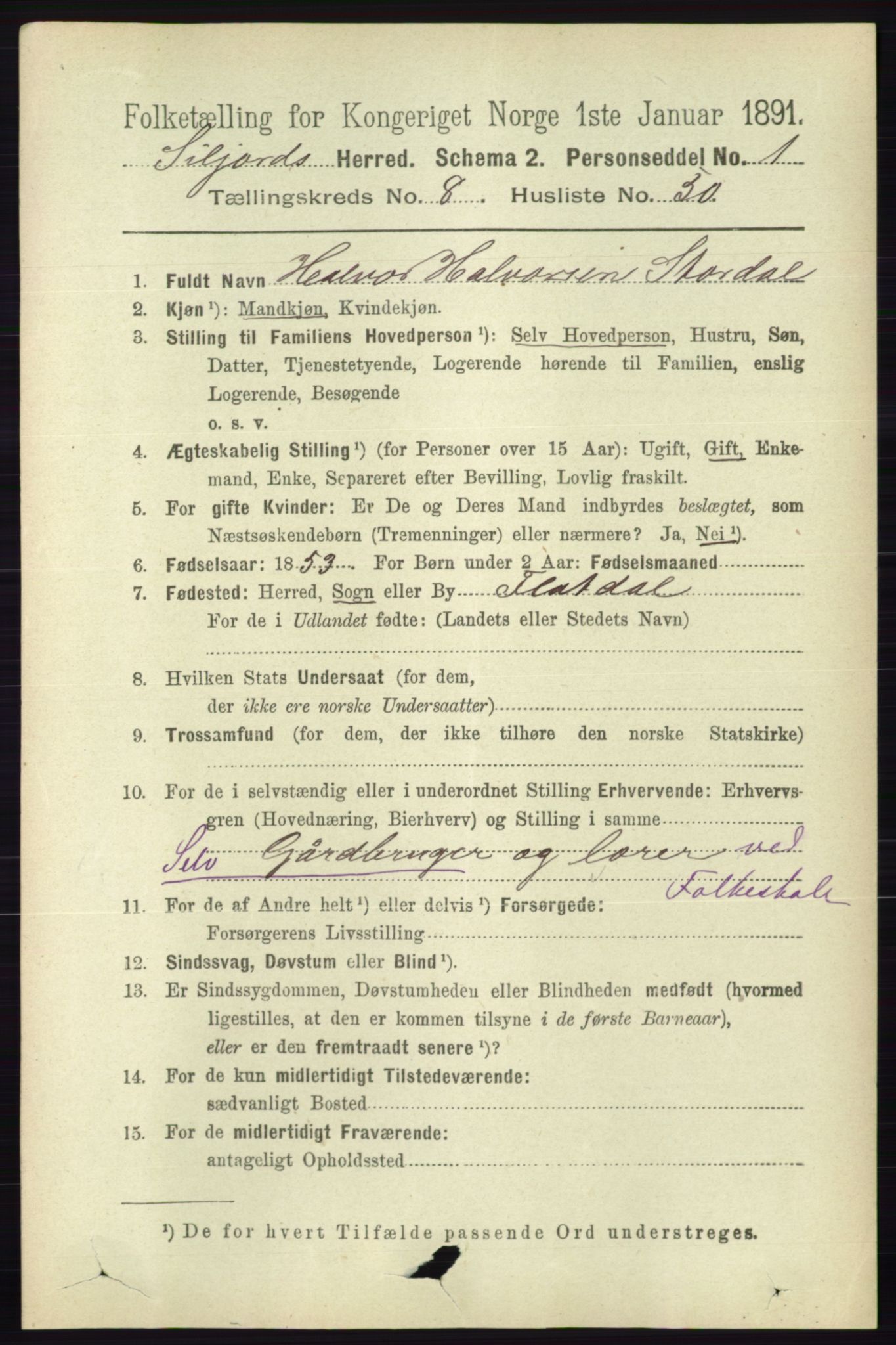 RA, 1891 census for 0828 Seljord, 1891, p. 3117