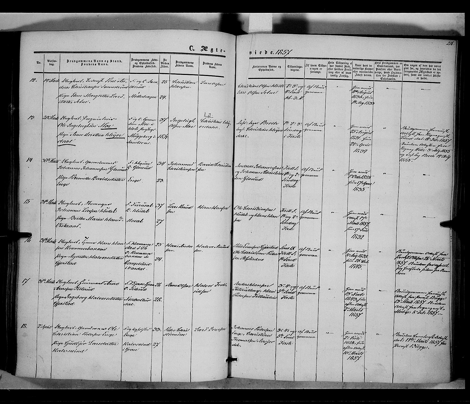 Vestre Toten prestekontor, SAH/PREST-108/H/Ha/Haa/L0006: Parish register (official) no. 6, 1856-1861, p. 216
