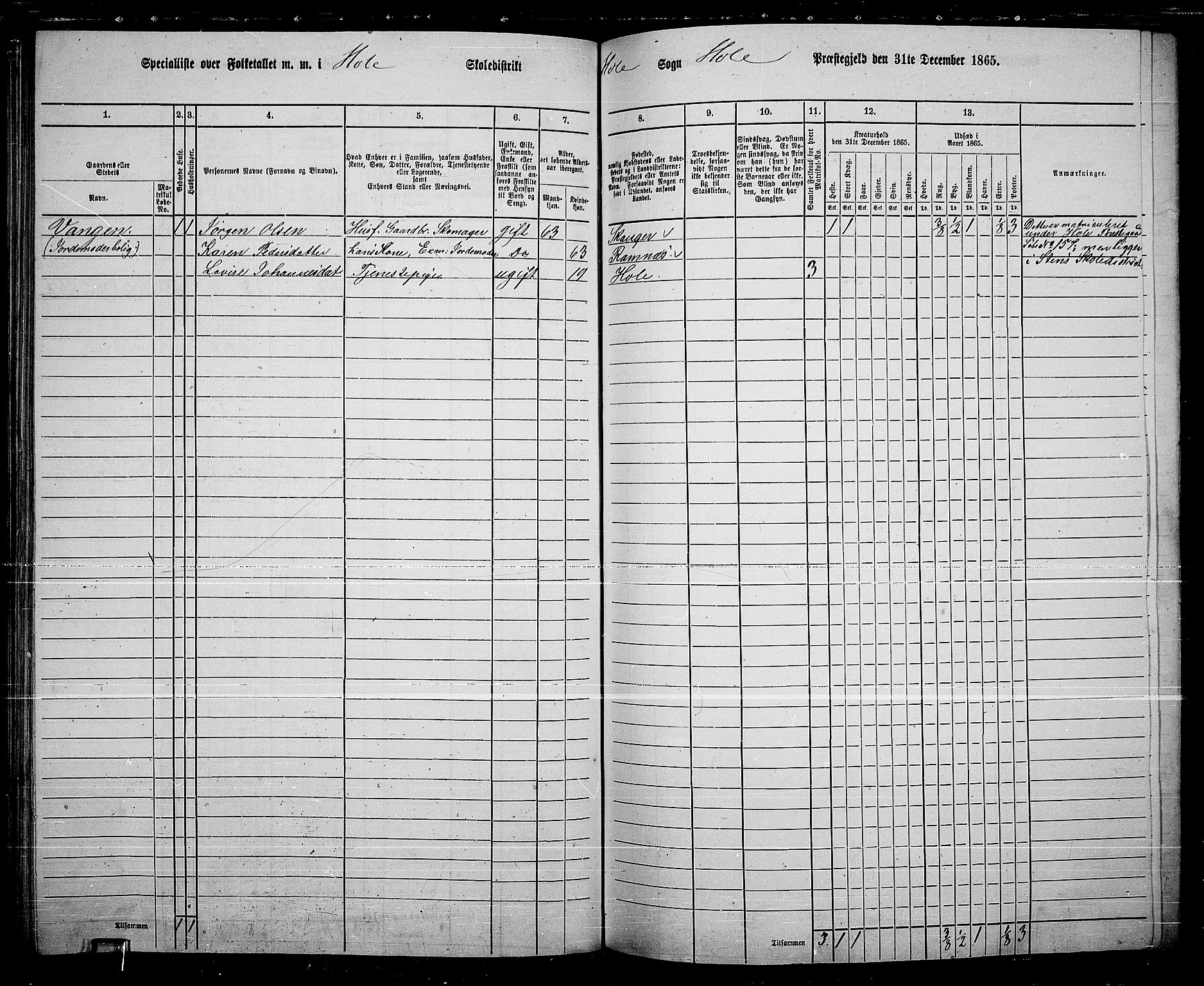 RA, 1865 census for Hole, 1865, p. 118