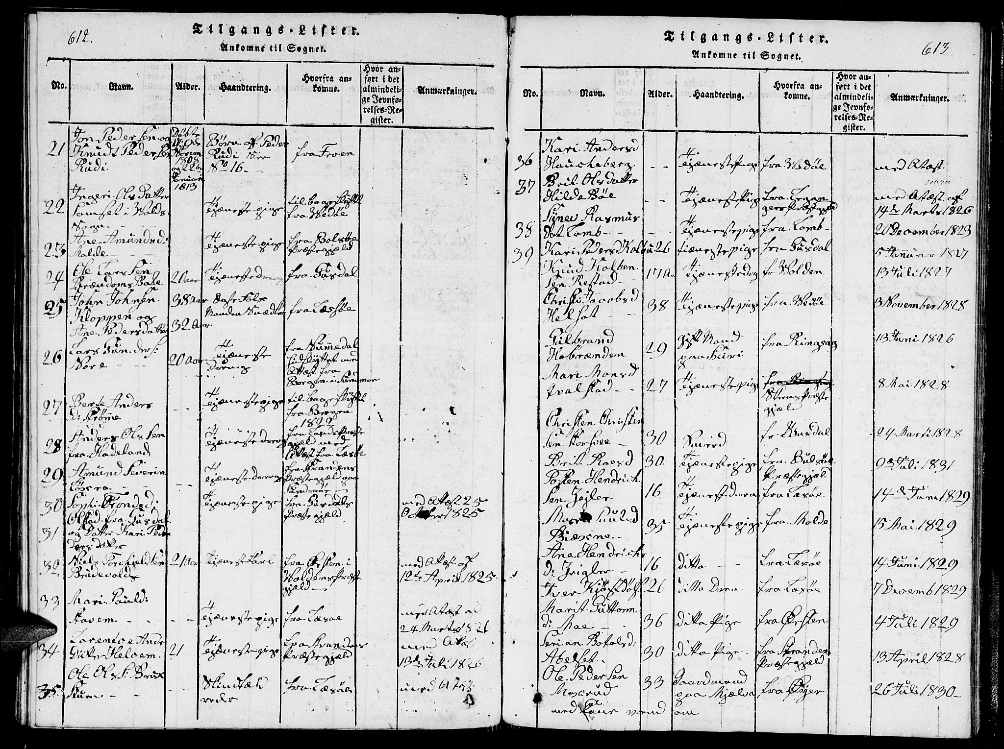 Ministerialprotokoller, klokkerbøker og fødselsregistre - Møre og Romsdal, SAT/A-1454/544/L0579: Parish register (copy) no. 544C01, 1818-1836, p. 612-613