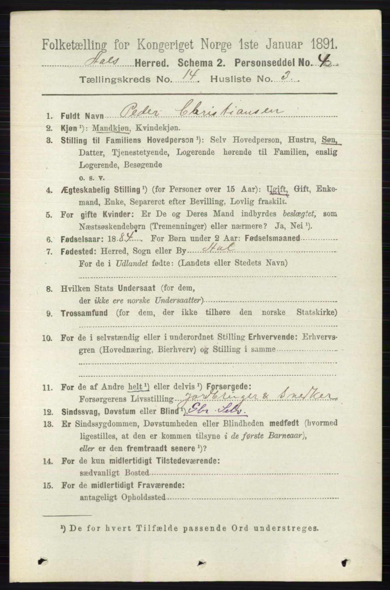 RA, 1891 census for 0619 Ål, 1891, p. 3551