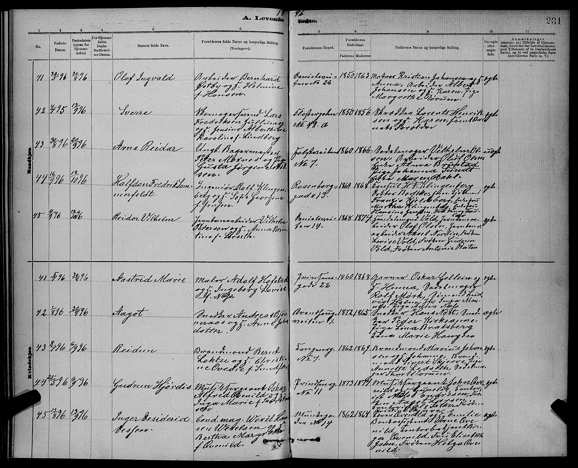 Ministerialprotokoller, klokkerbøker og fødselsregistre - Sør-Trøndelag, AV/SAT-A-1456/601/L0092: Parish register (copy) no. 601C10, 1884-1897, p. 231