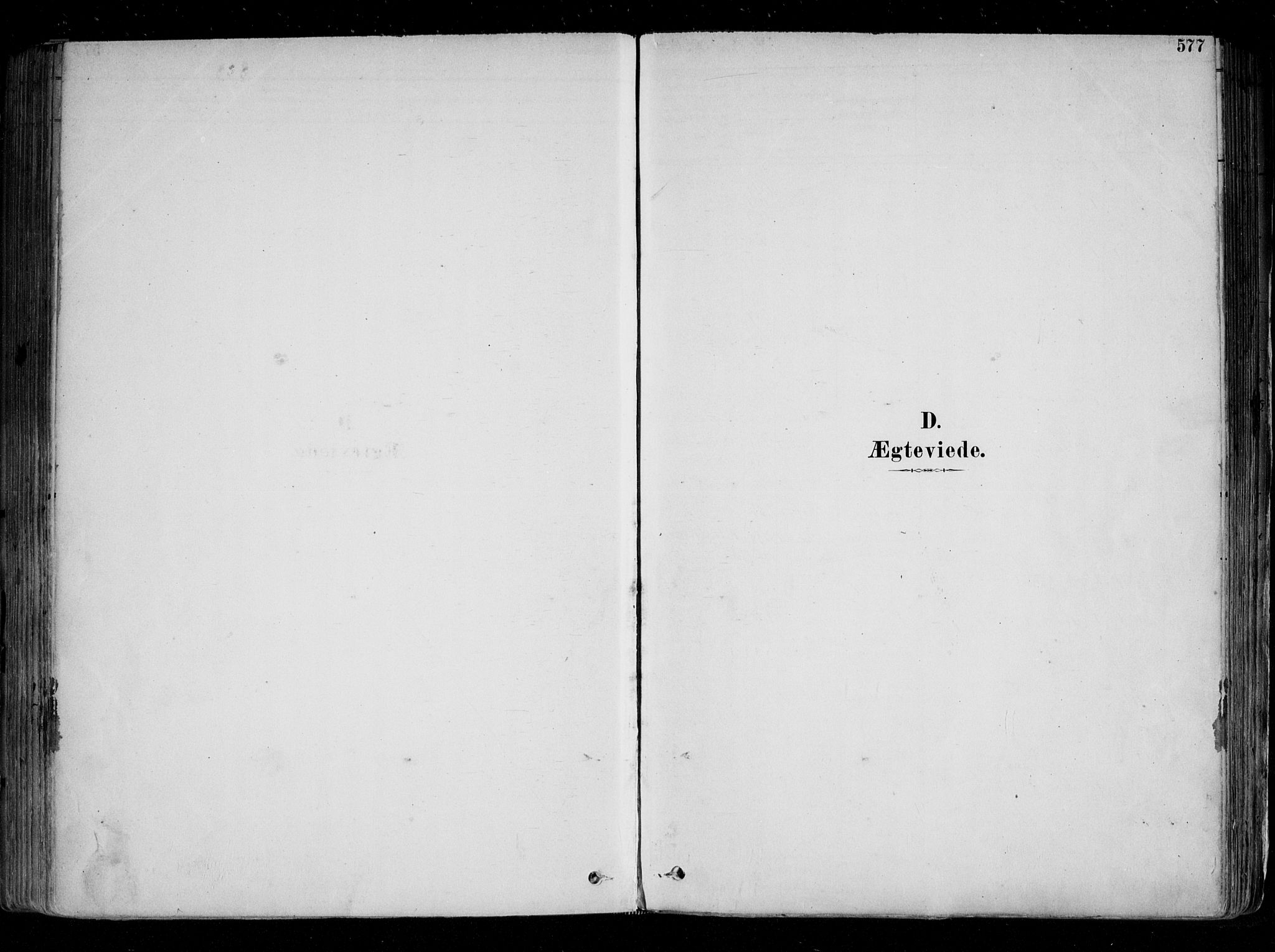 Fredrikstad domkirkes prestekontor Kirkebøker, SAO/A-10906/F/Fa/L0004: Parish register (official) no. 4, 1878-1907, p. 577