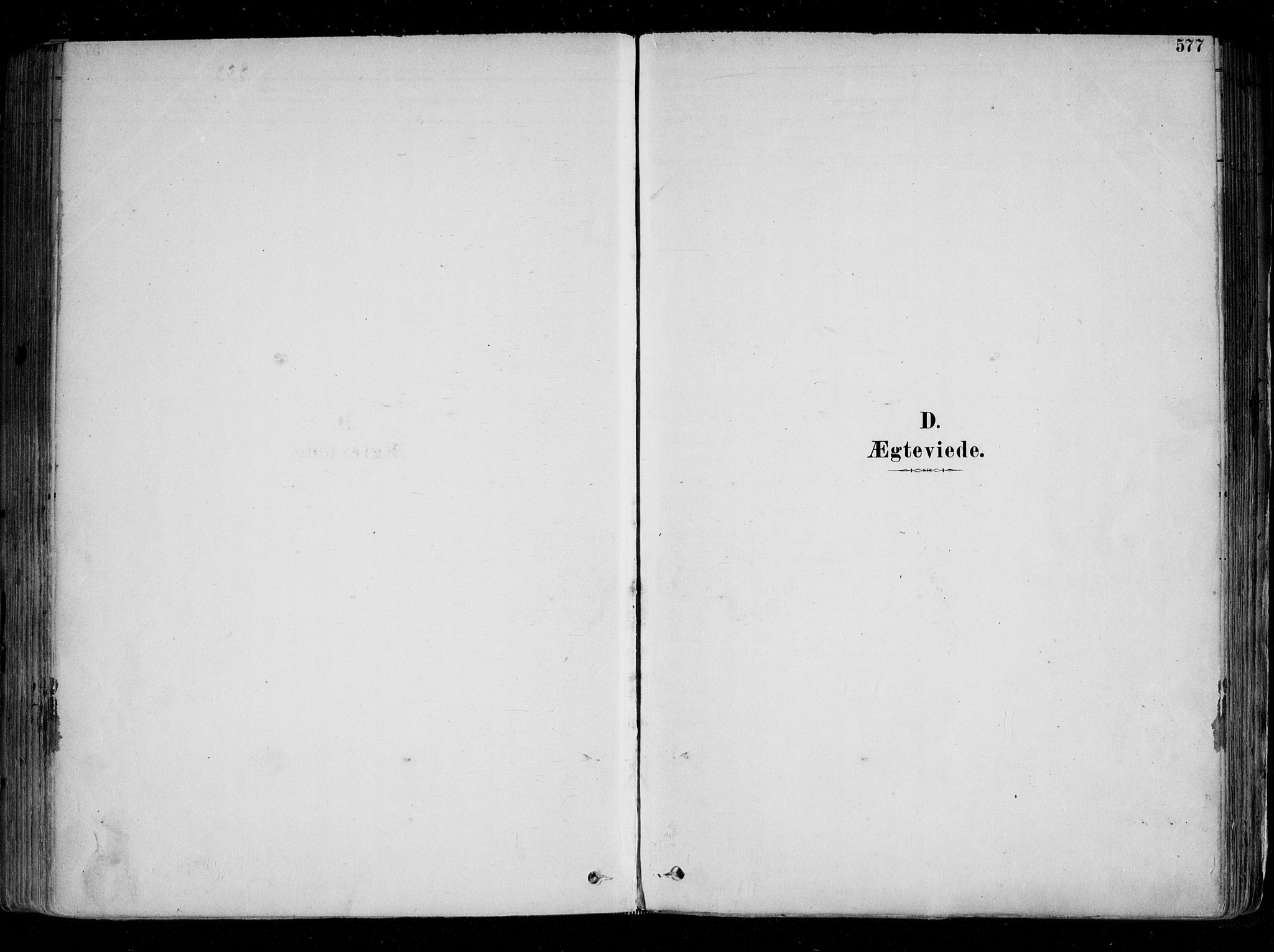 Fredrikstad domkirkes prestekontor Kirkebøker, AV/SAO-A-10906/F/Fa/L0004: Parish register (official) no. 4, 1878-1907, p. 577