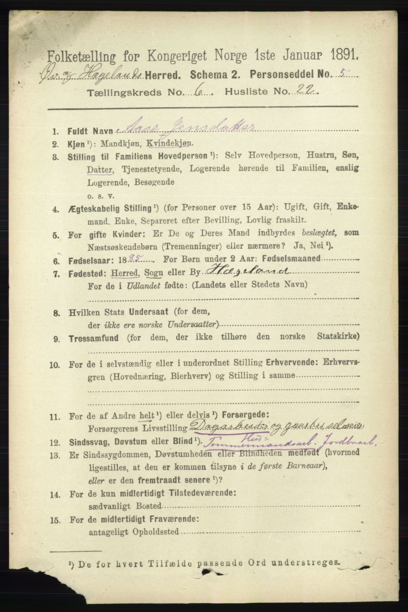 RA, 1891 census for 1016 Øvrebø og Hægeland, 1891, p. 1309