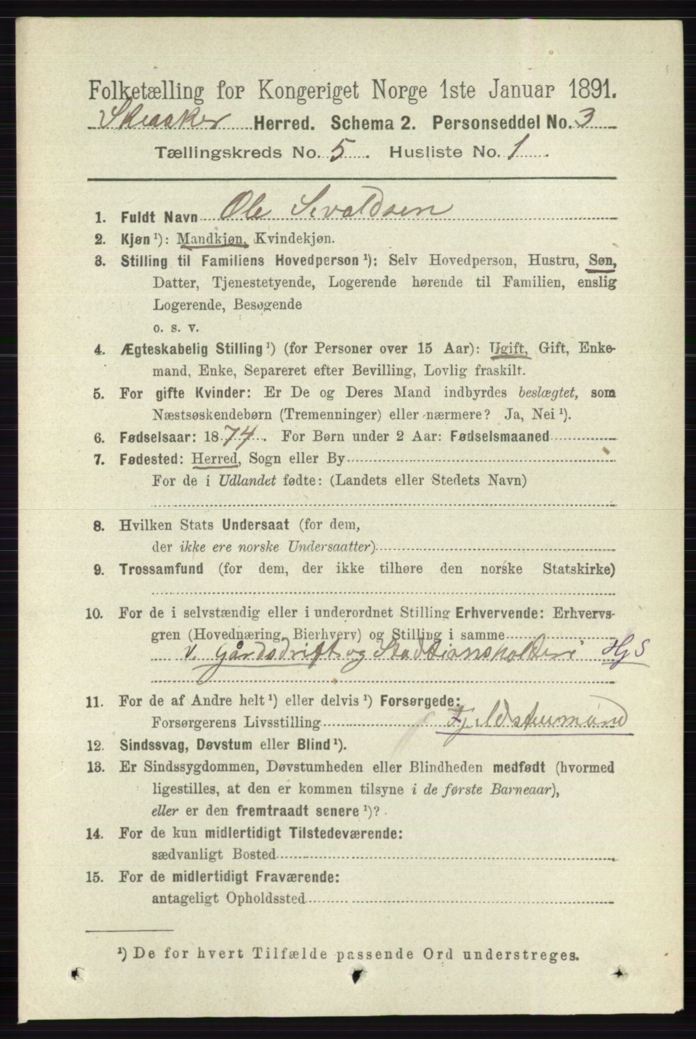 RA, 1891 census for 0513 Skjåk, 1891, p. 1618