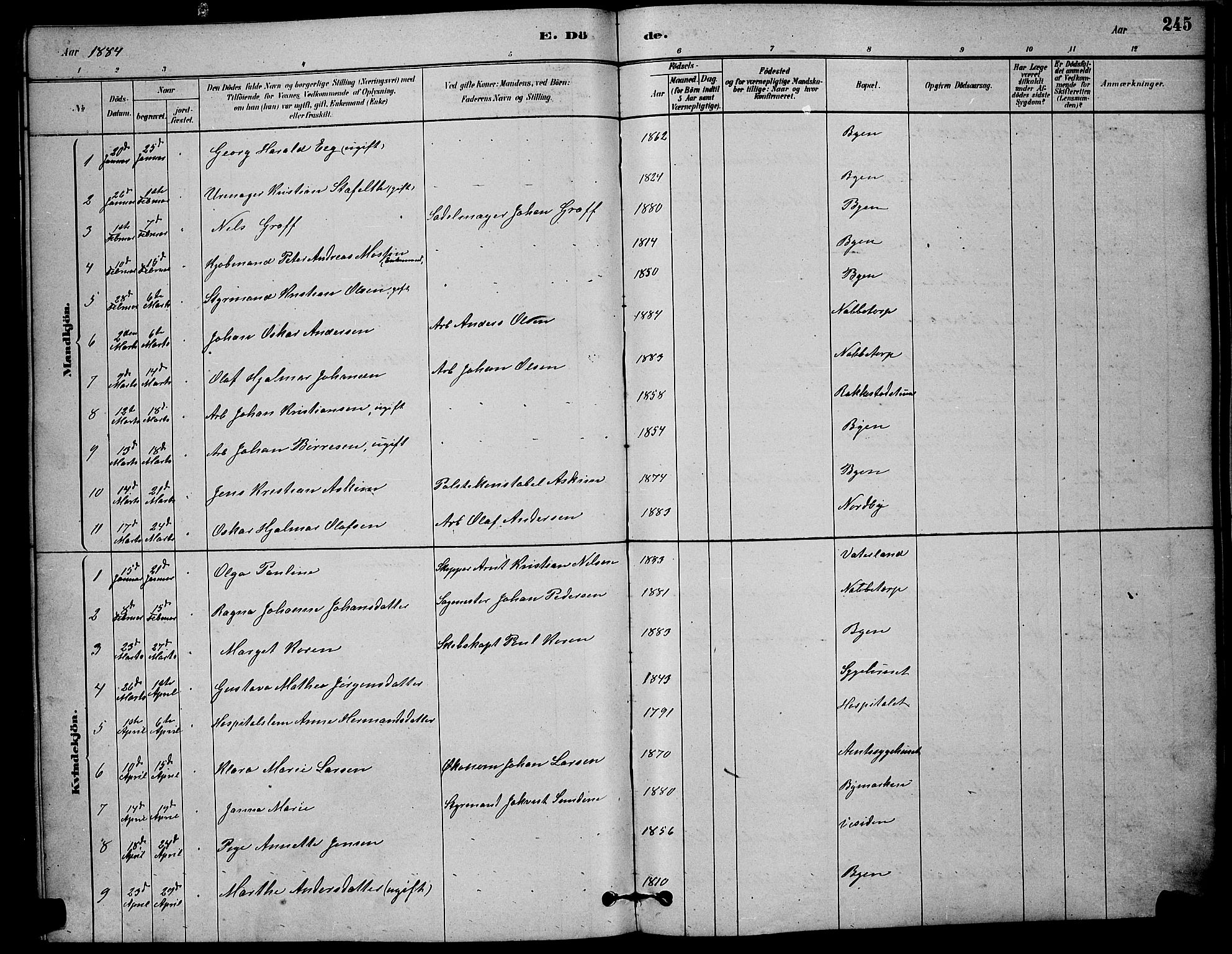 Østre Fredrikstad prestekontor Kirkebøker, SAO/A-10907/G/Ga/L0001: Parish register (copy) no. 1, 1880-1899, p. 245