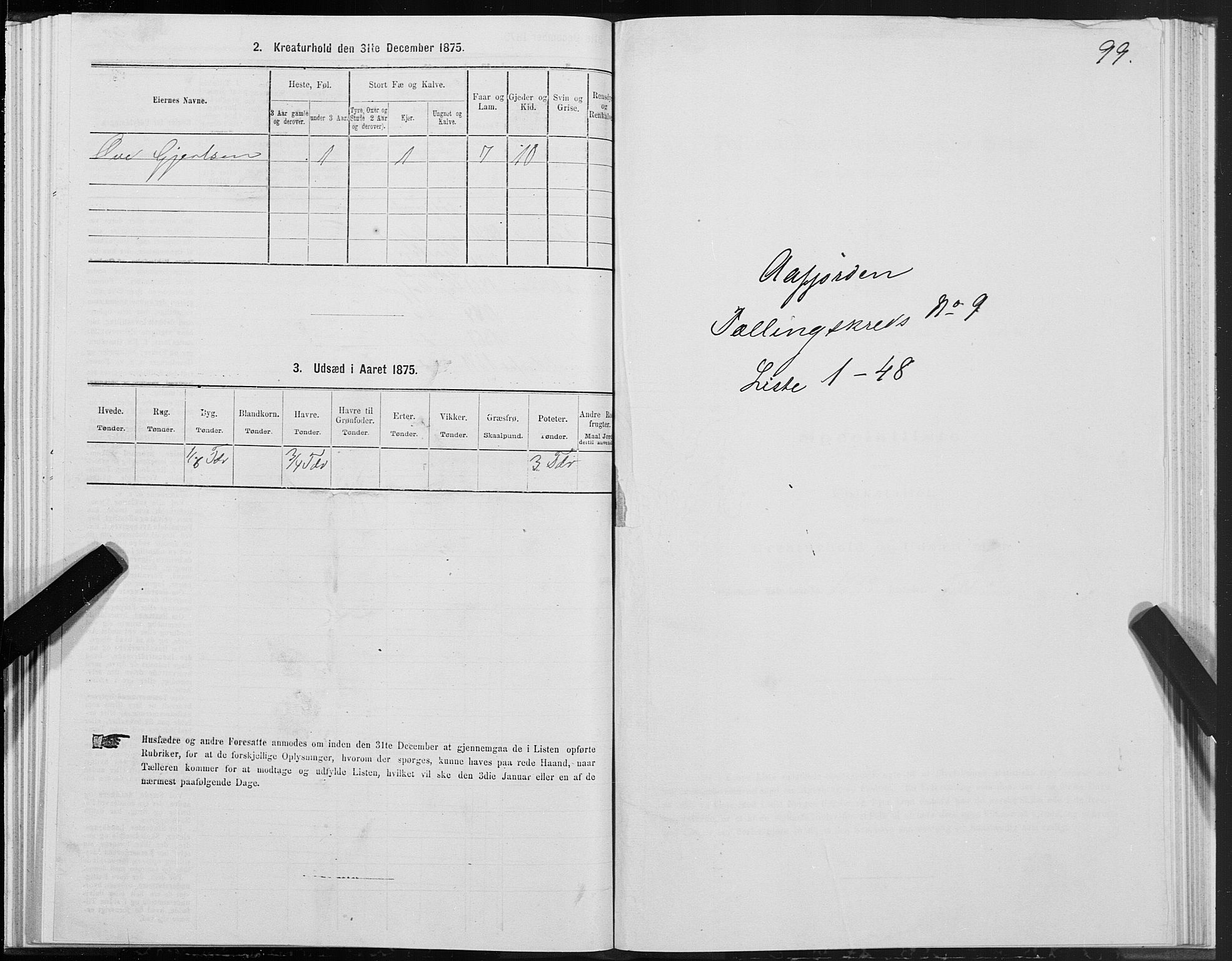 SAT, 1875 census for 1630P Aafjorden, 1875, p. 4099