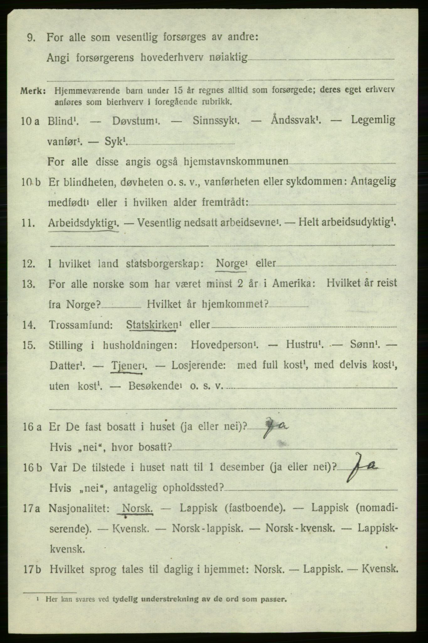 SATØ, 1920 census for Loppa, 1920, p. 1313