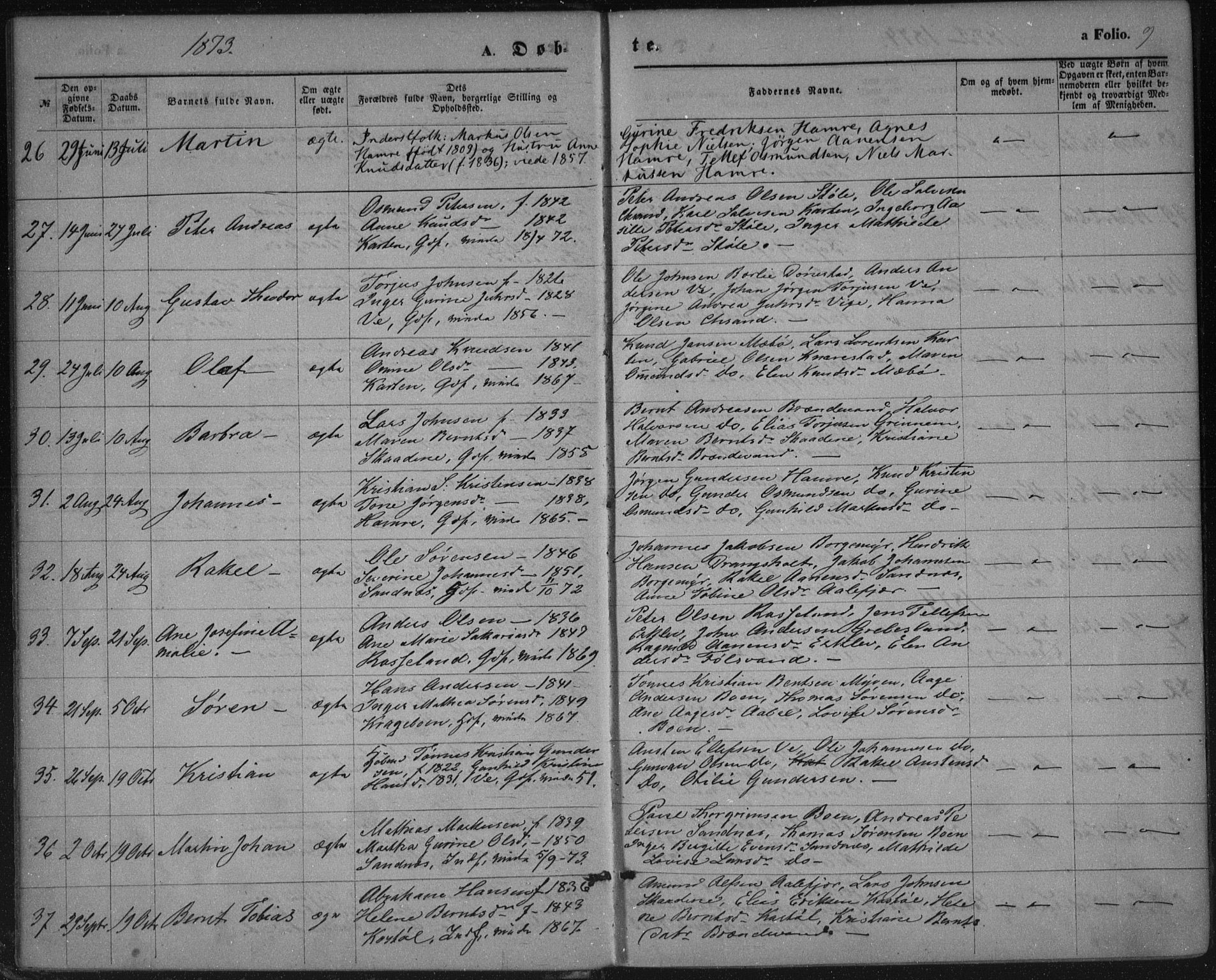 Tveit sokneprestkontor, AV/SAK-1111-0043/F/Fa/L0006: Parish register (official) no. A 6, 1872-1886, p. 9