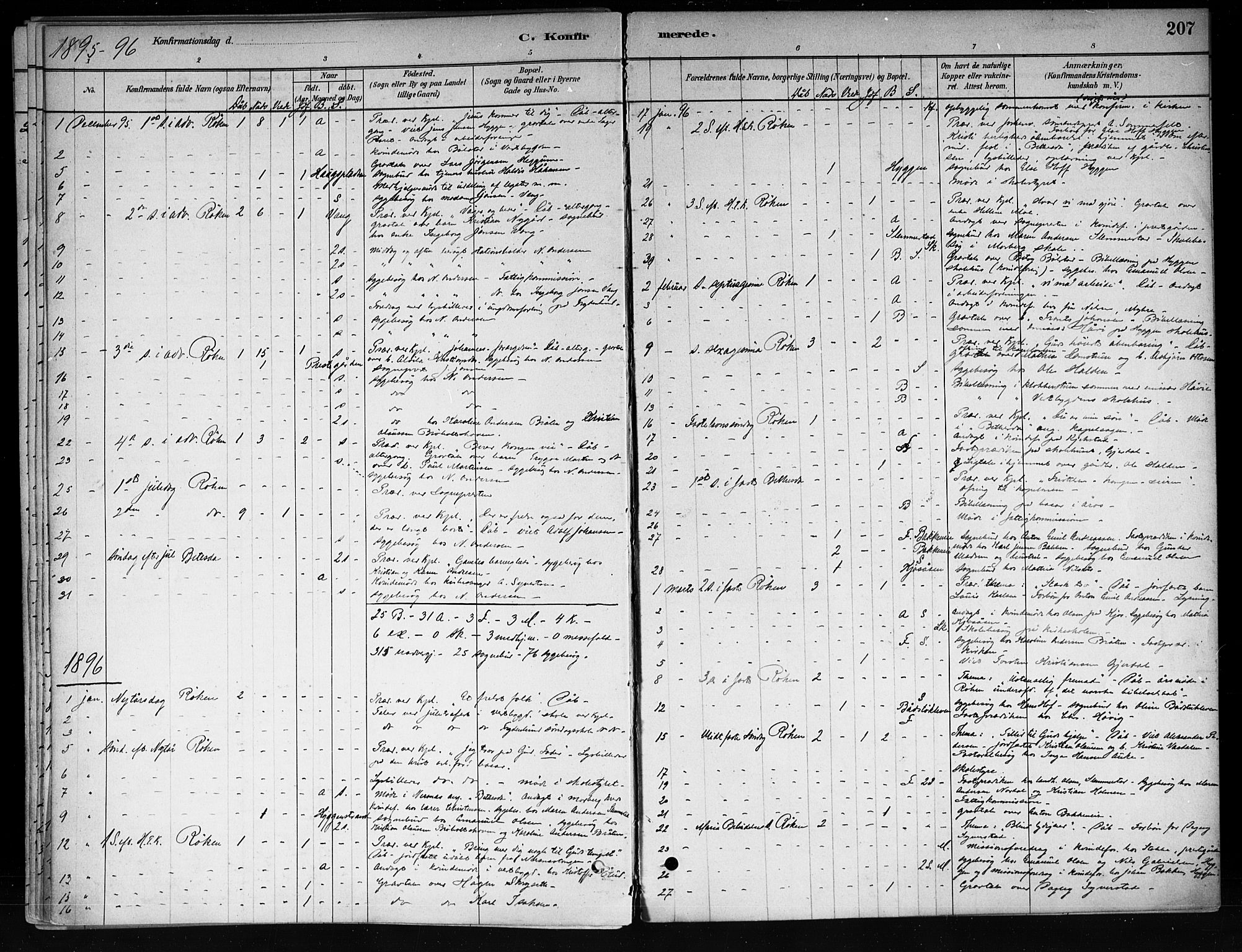 Røyken kirkebøker, SAKO/A-241/F/Fa/L0008: Parish register (official) no. 8, 1880-1897, p. 207