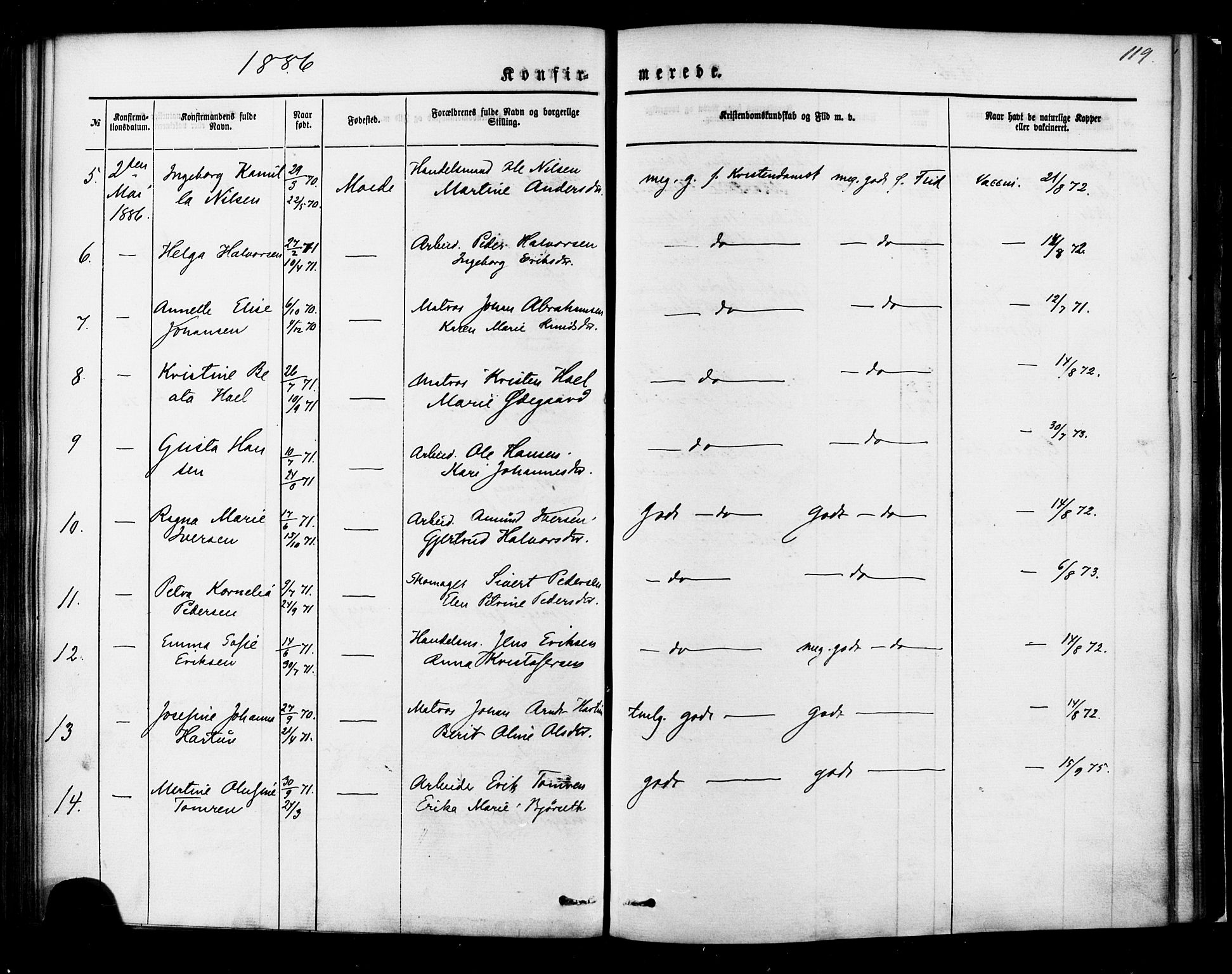 Ministerialprotokoller, klokkerbøker og fødselsregistre - Møre og Romsdal, AV/SAT-A-1454/558/L0691: Parish register (official) no. 558A05, 1873-1886, p. 119