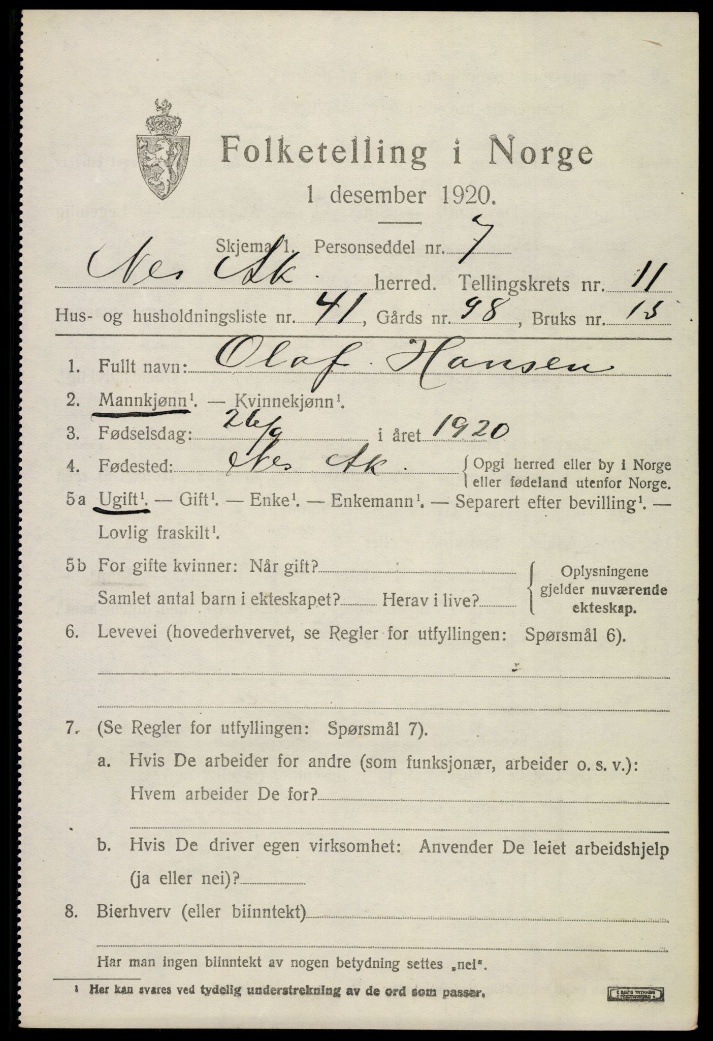 SAO, 1920 census for Nes, 1920, p. 11934