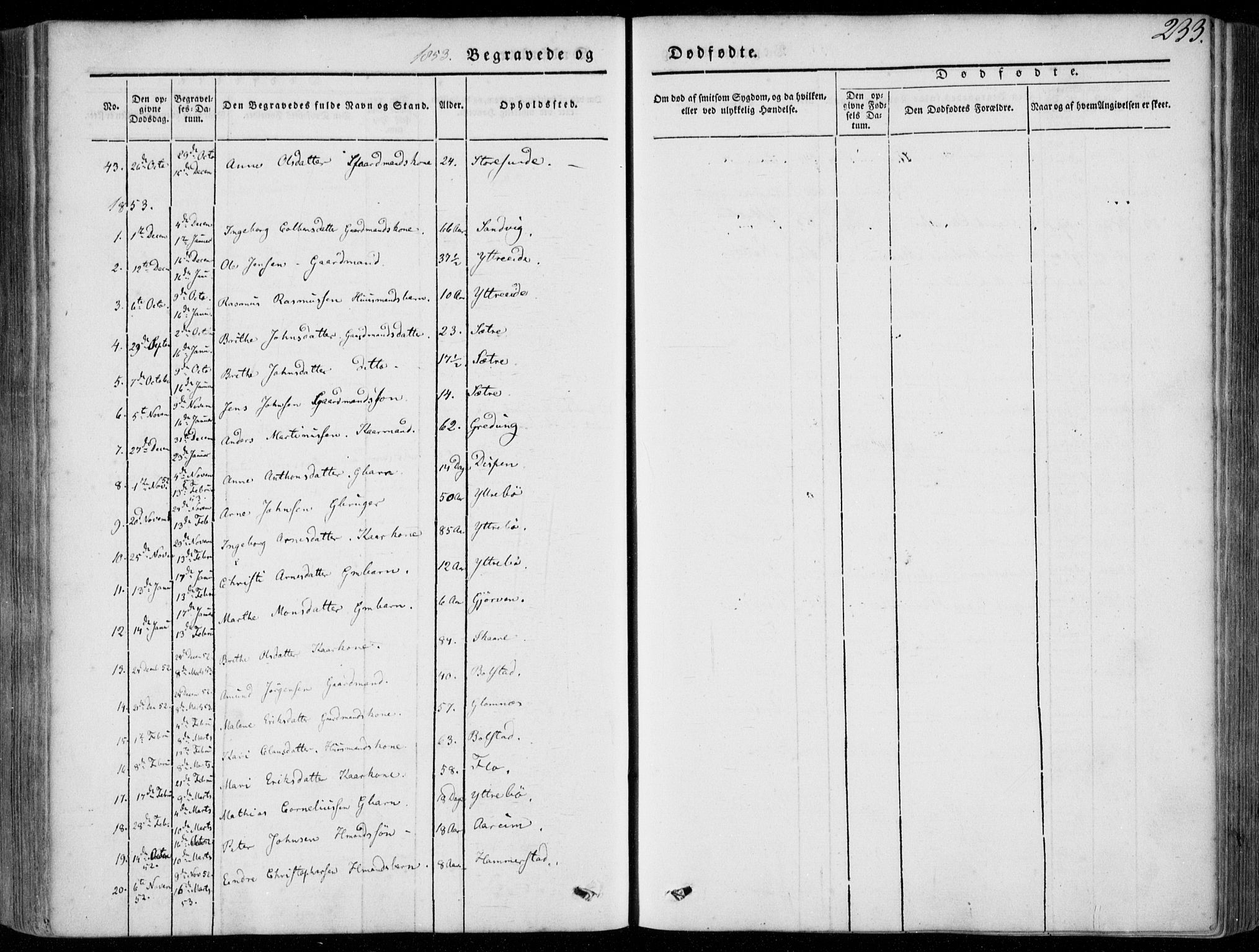 Stryn Sokneprestembete, SAB/A-82501: Parish register (official) no. A 2, 1844-1861, p. 233