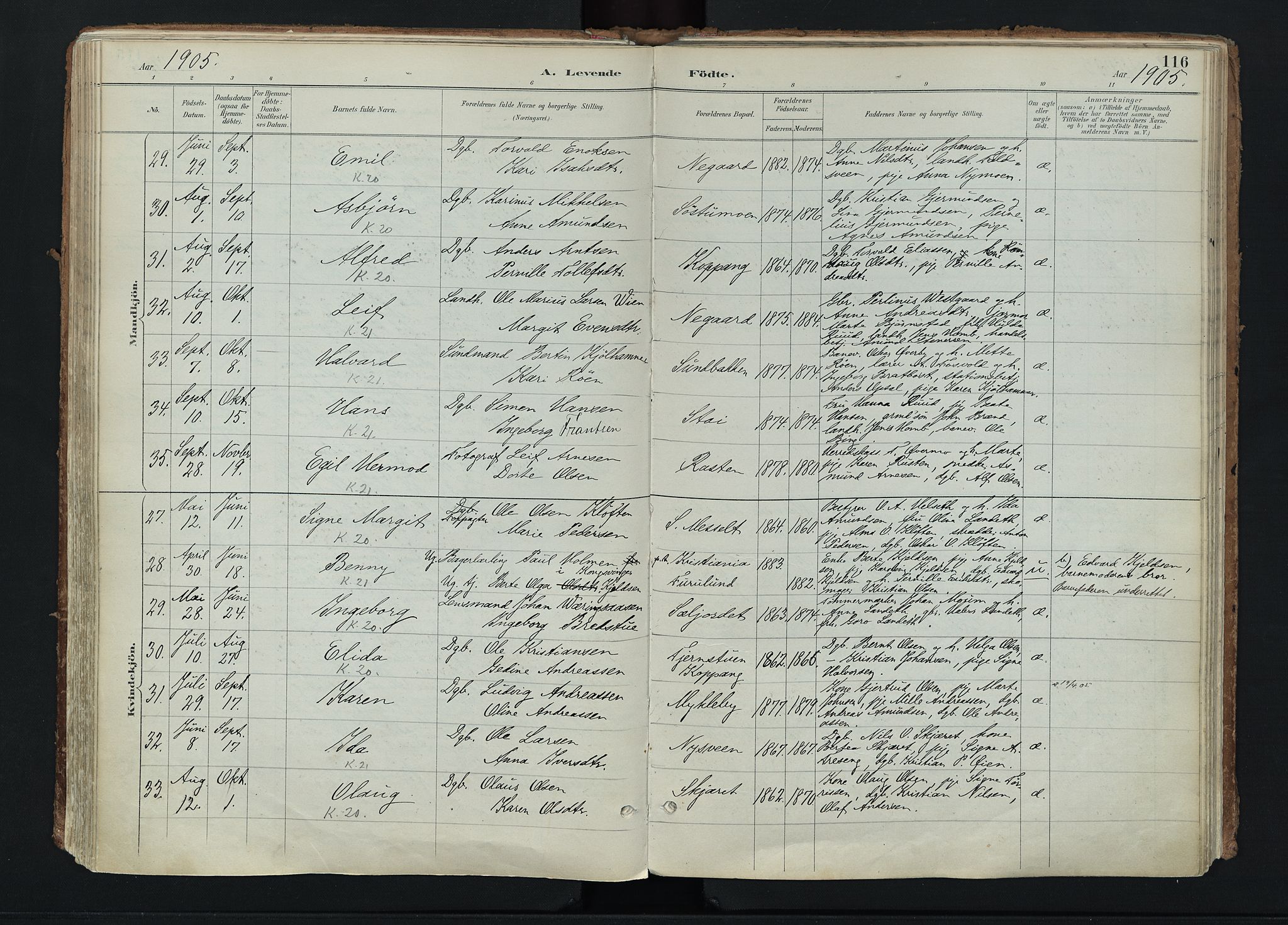 Stor-Elvdal prestekontor, AV/SAH-PREST-052/H/Ha/Haa/L0004: Parish register (official) no. 4, 1890-1922, p. 116