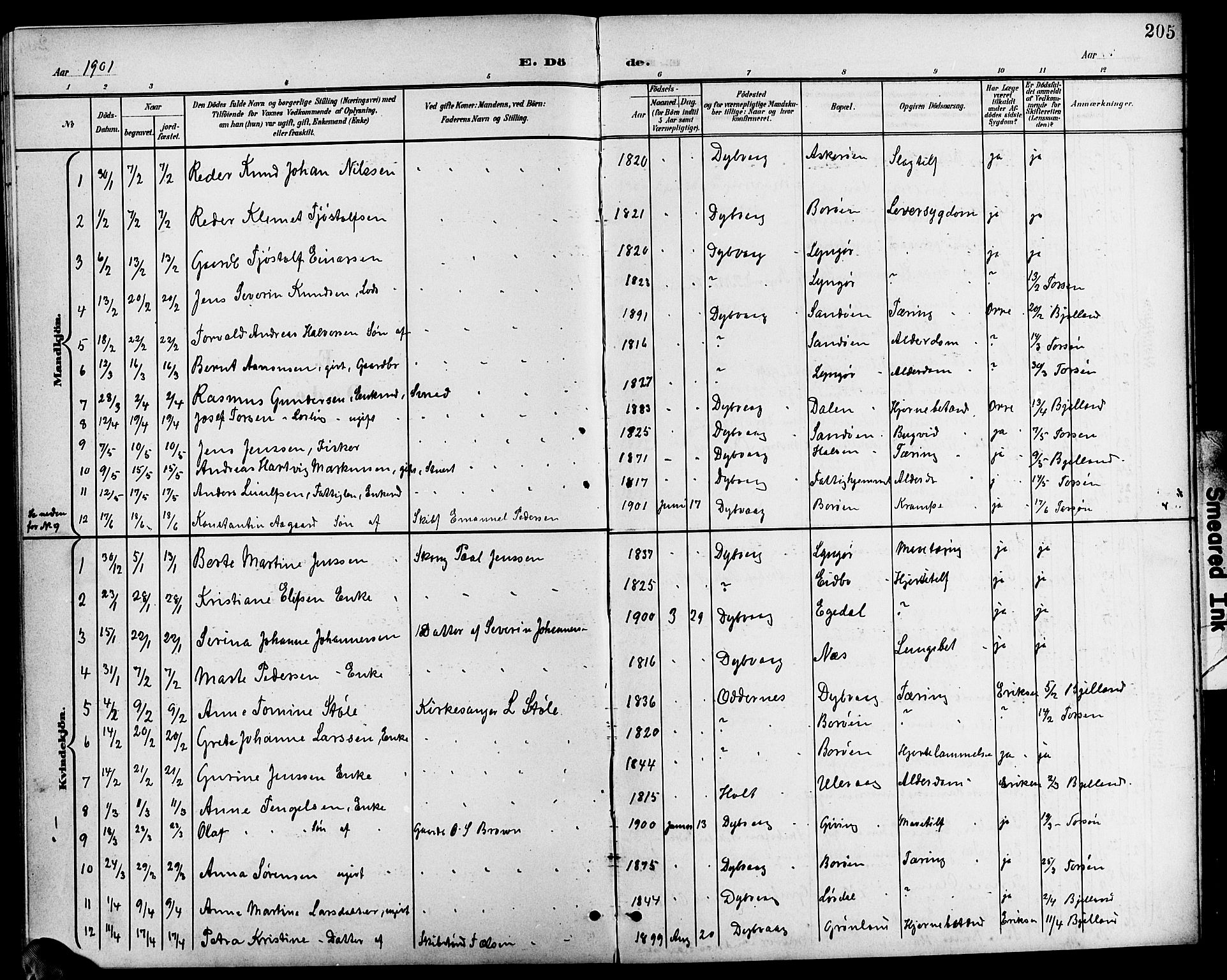 Dypvåg sokneprestkontor, SAK/1111-0007/F/Fb/Fba/L0014: Parish register (copy) no. B 14, 1901-1922, p. 205