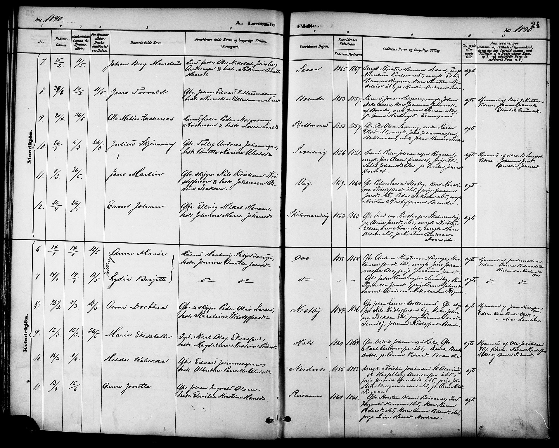 Ministerialprotokoller, klokkerbøker og fødselsregistre - Nordland, AV/SAT-A-1459/847/L0669: Parish register (official) no. 847A09, 1887-1901, p. 24