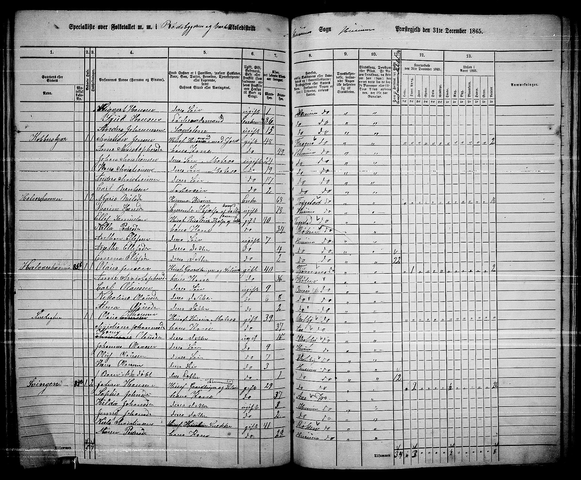 RA, 1865 census for Hurum, 1865, p. 69