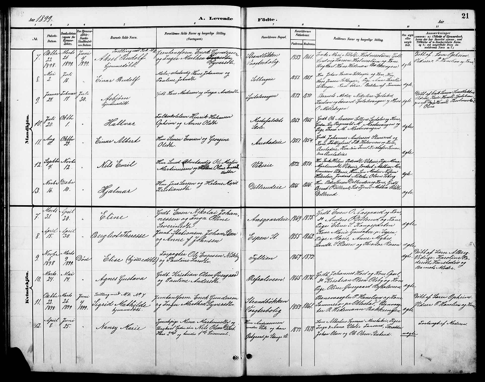 Stange prestekontor, AV/SAH-PREST-002/L/L0011: Parish register (copy) no. 11, 1895-1917, p. 21