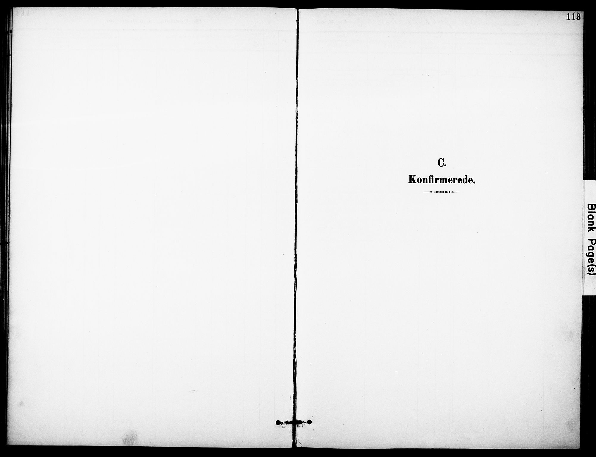 Eiker kirkebøker, AV/SAKO-A-4/F/Fc/L0003: Parish register (official) no. III 3, 1897-1981, p. 113