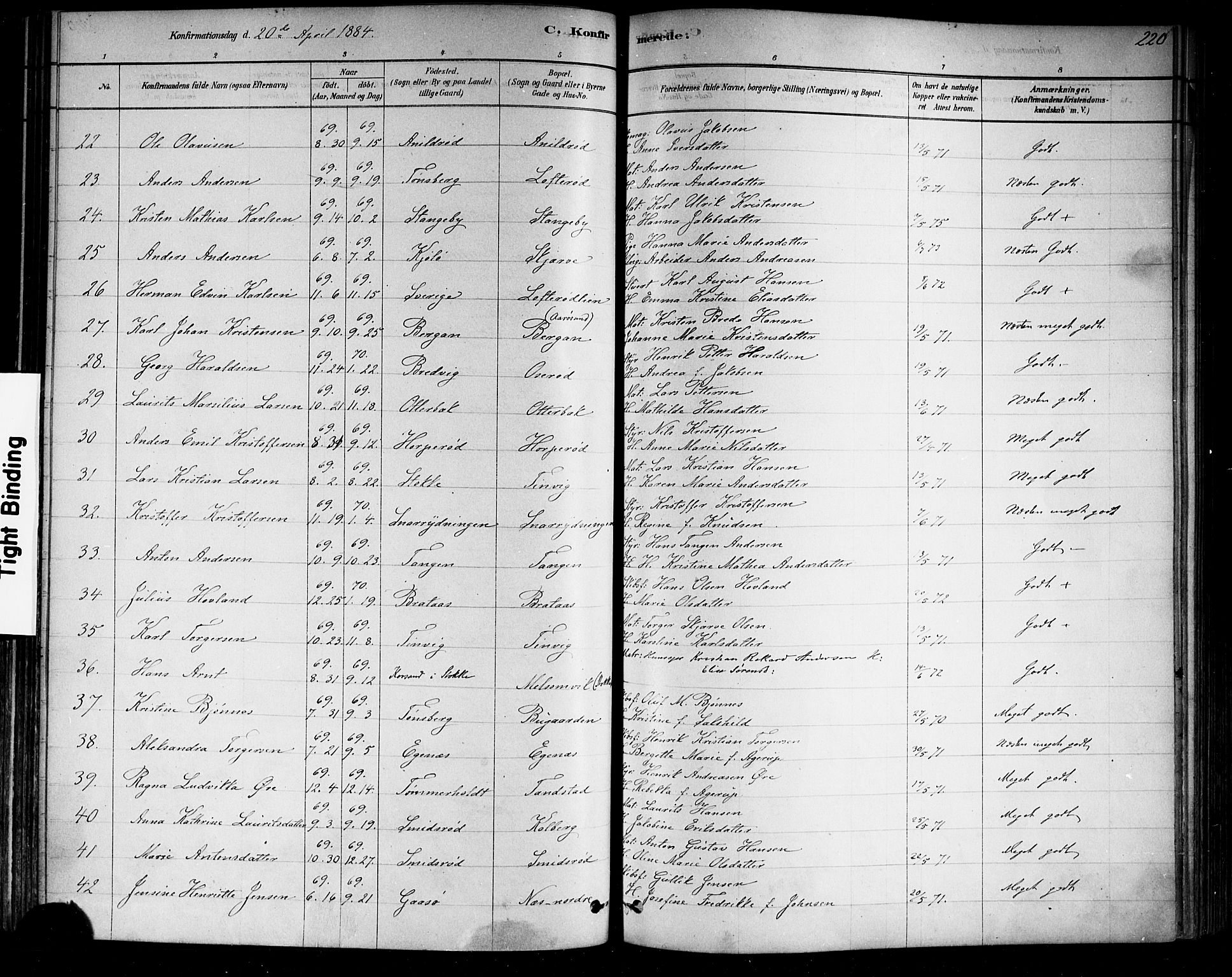 Nøtterøy kirkebøker, AV/SAKO-A-354/F/Fa/L0008: Parish register (official) no. I 8, 1878-1893, p. 220