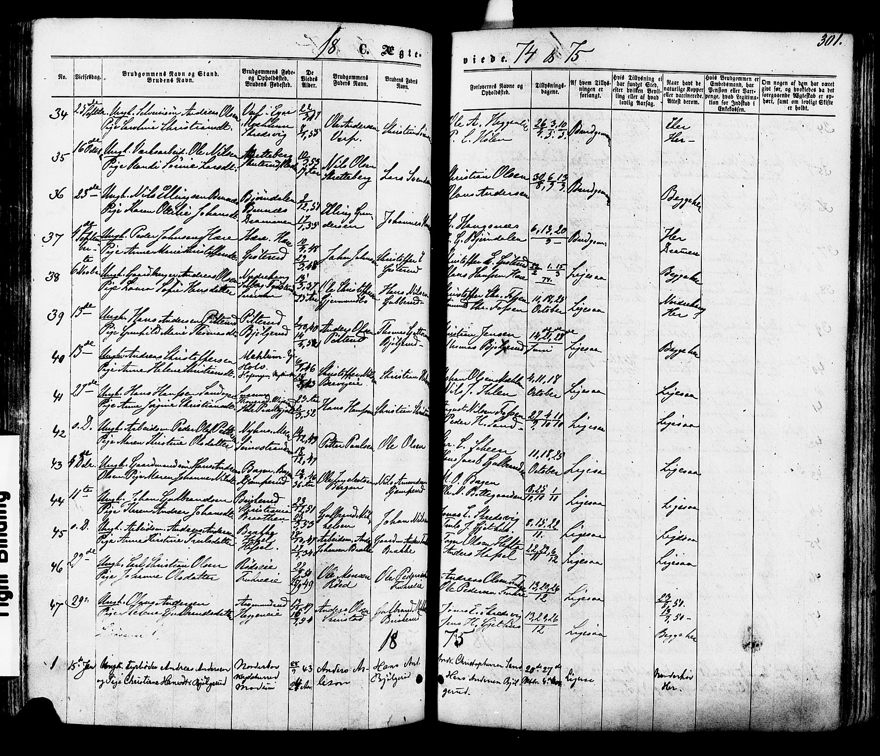 Modum kirkebøker, SAKO/A-234/F/Fa/L0010: Parish register (official) no. 10, 1865-1876, p. 301