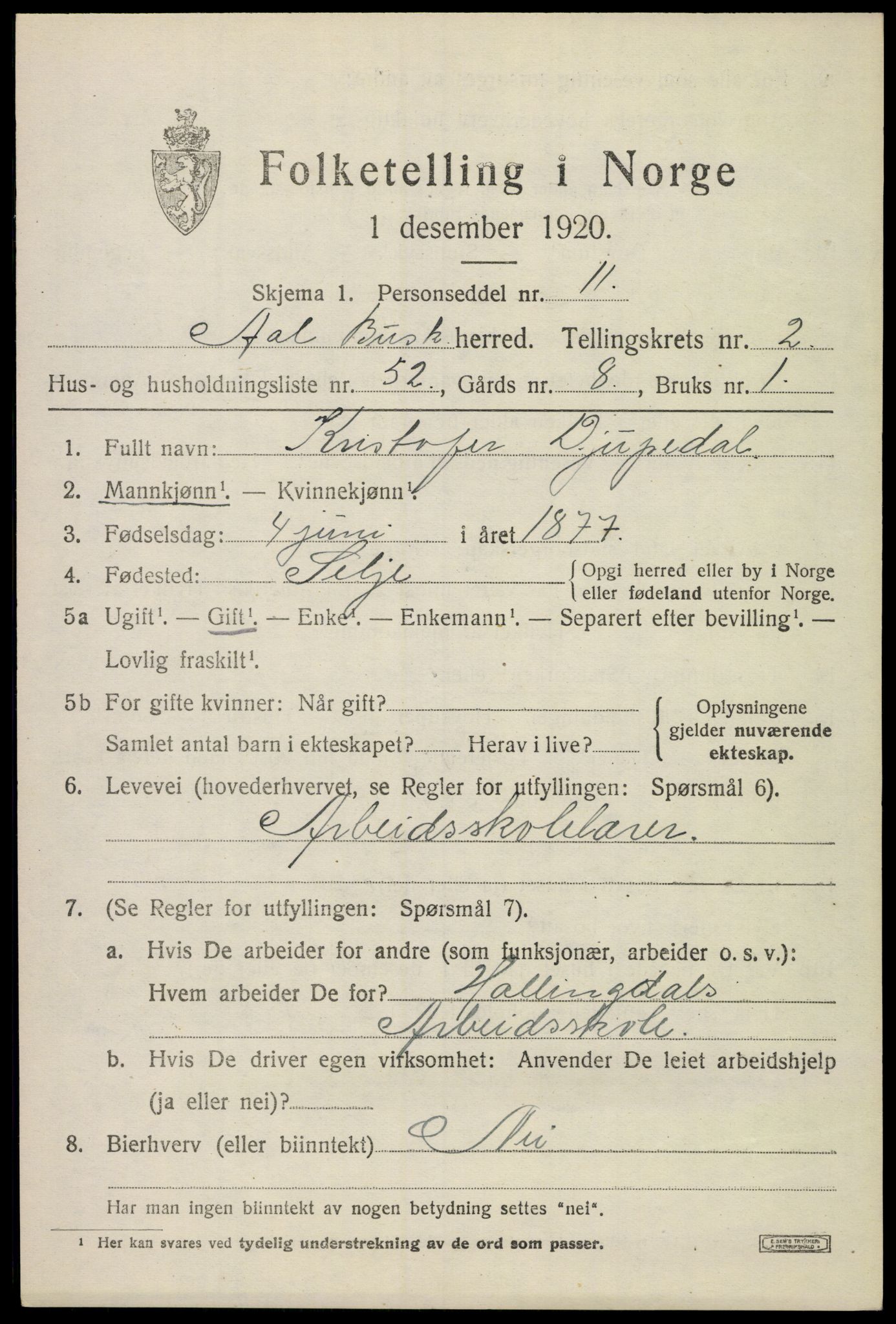 SAKO, 1920 census for Ål, 1920, p. 2370