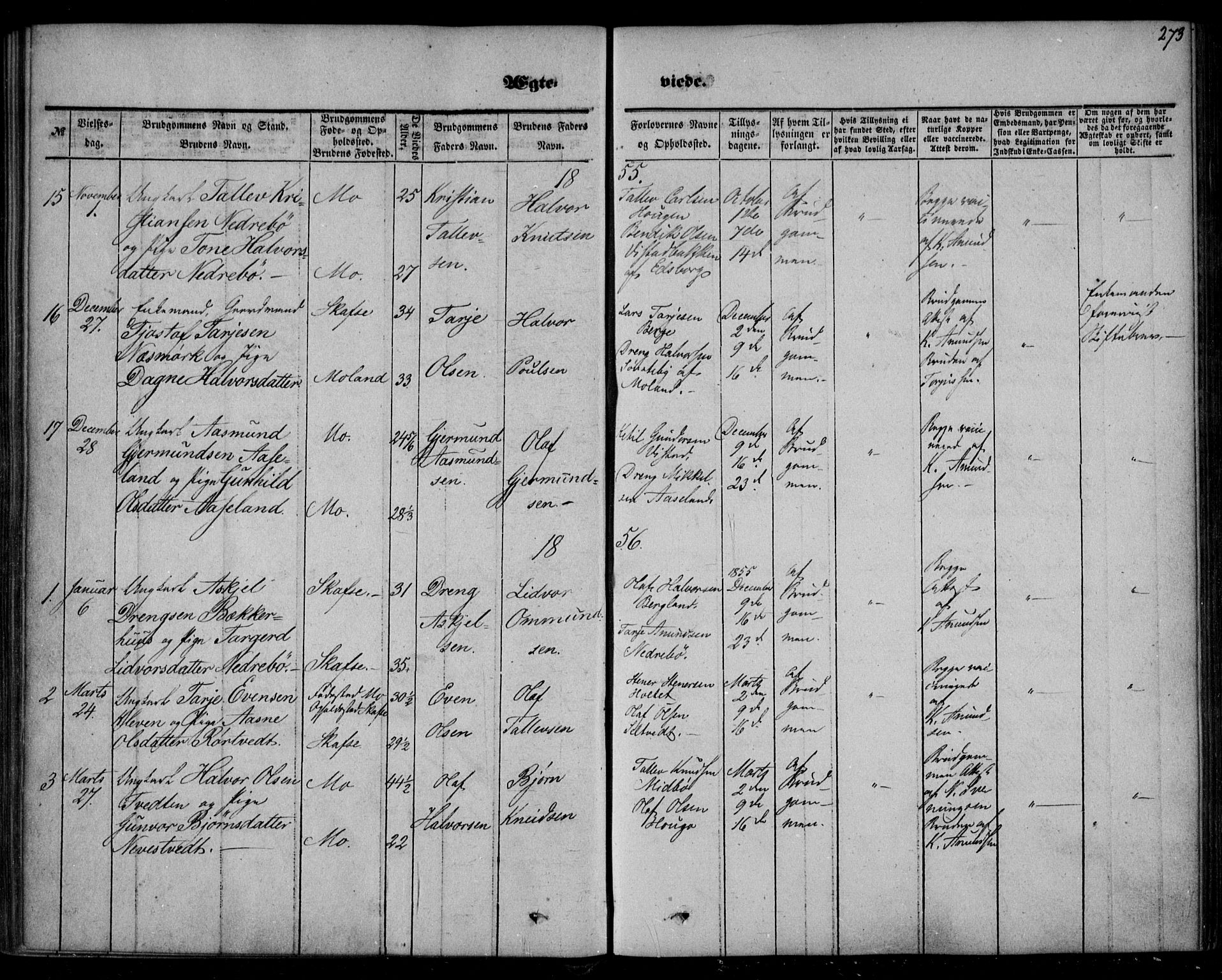 Mo kirkebøker, AV/SAKO-A-286/F/Fa/L0005: Parish register (official) no. I 5, 1844-1864, p. 273