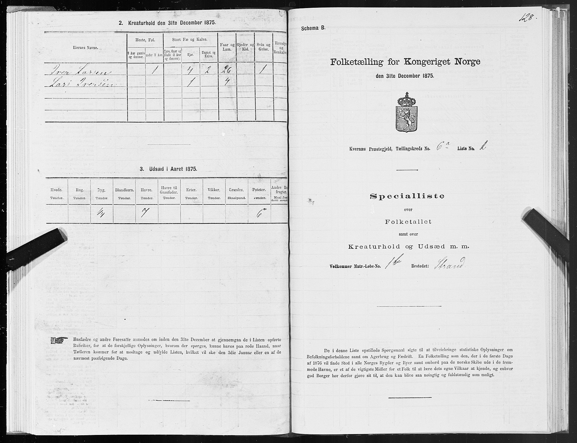 SAT, 1875 census for 1553P Kvernes, 1875, p. 3128