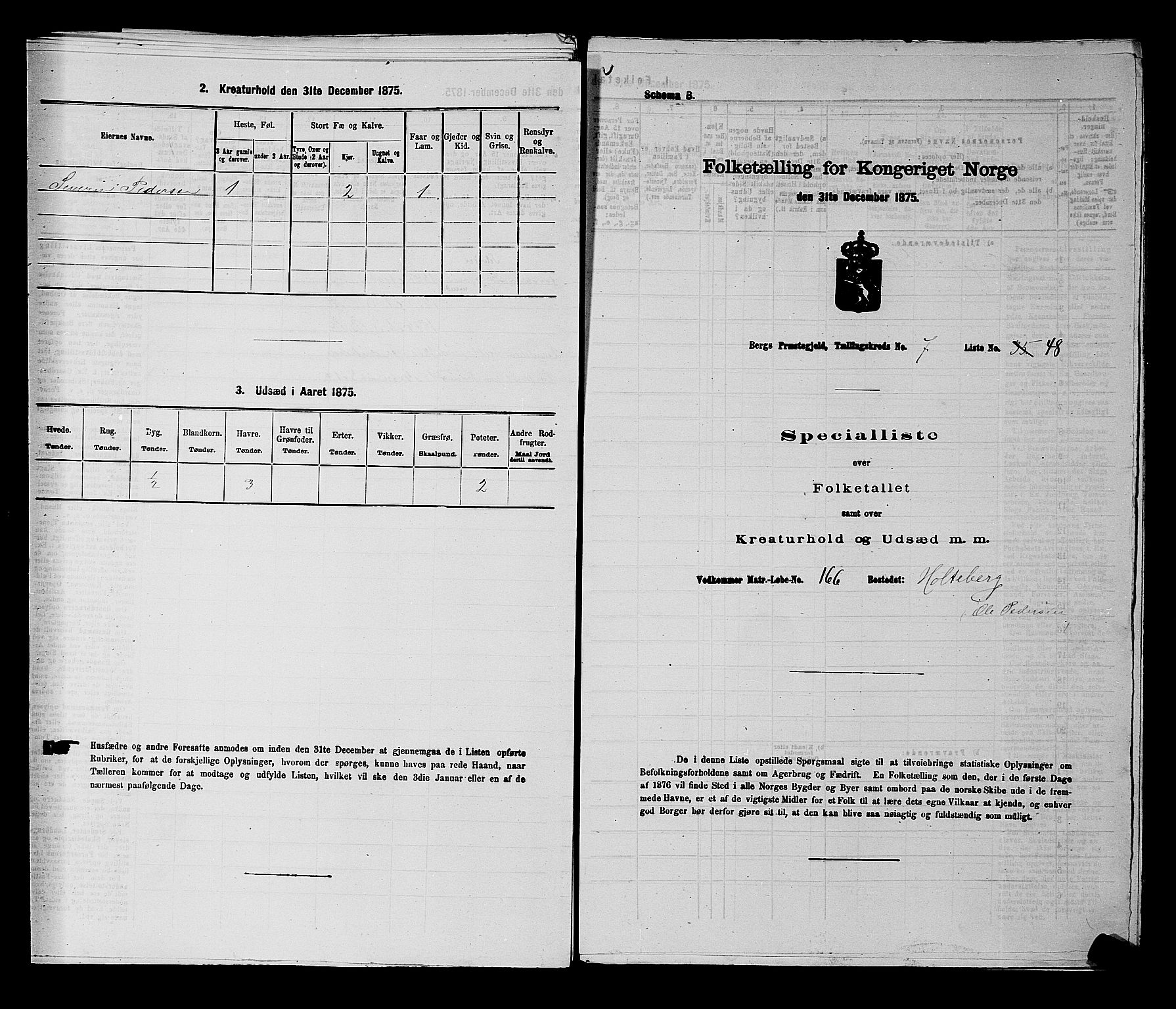 RA, 1875 census for 0116P Berg, 1875, p. 1119