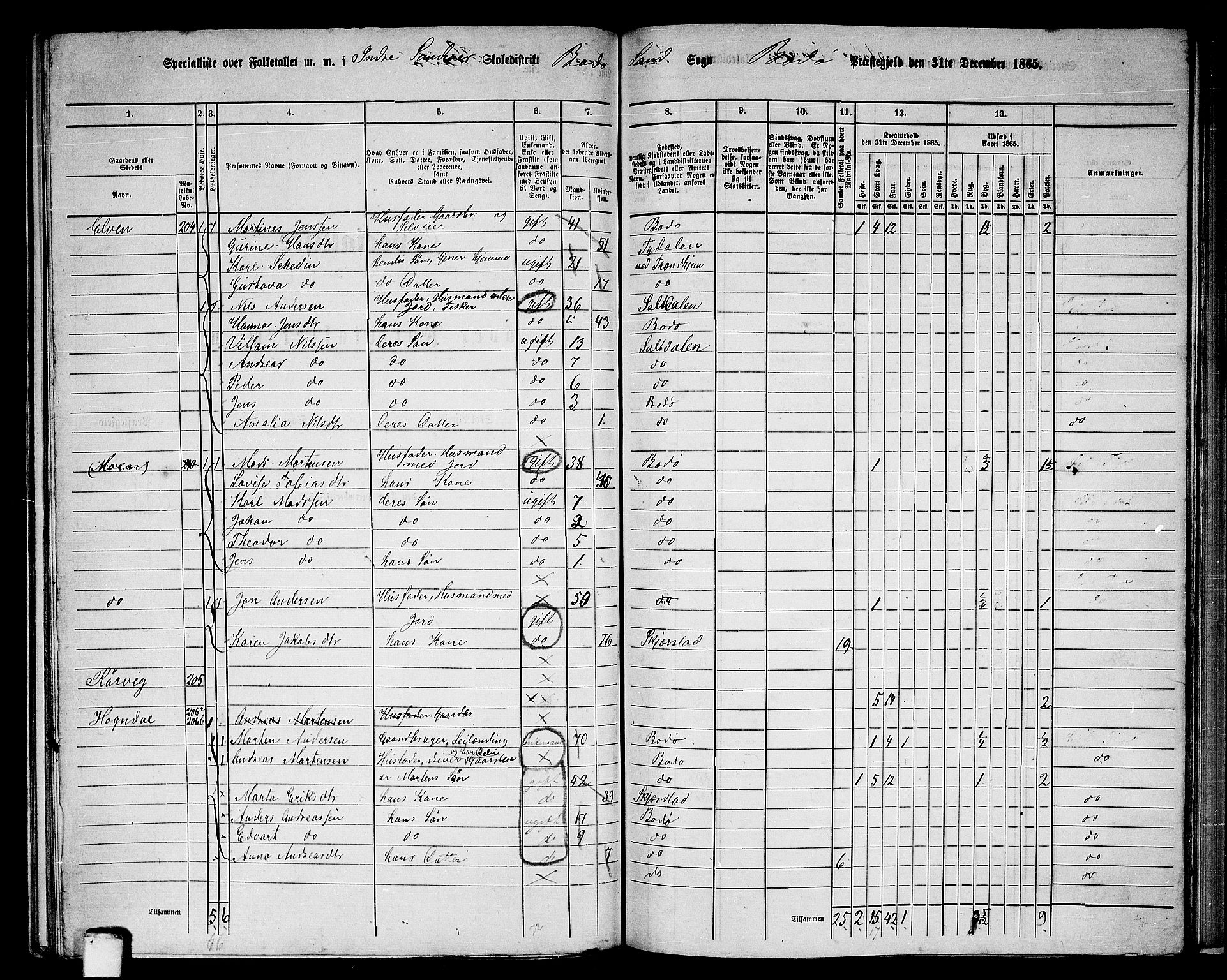 RA, 1865 census for Bodø/Bodø, 1865, p. 124