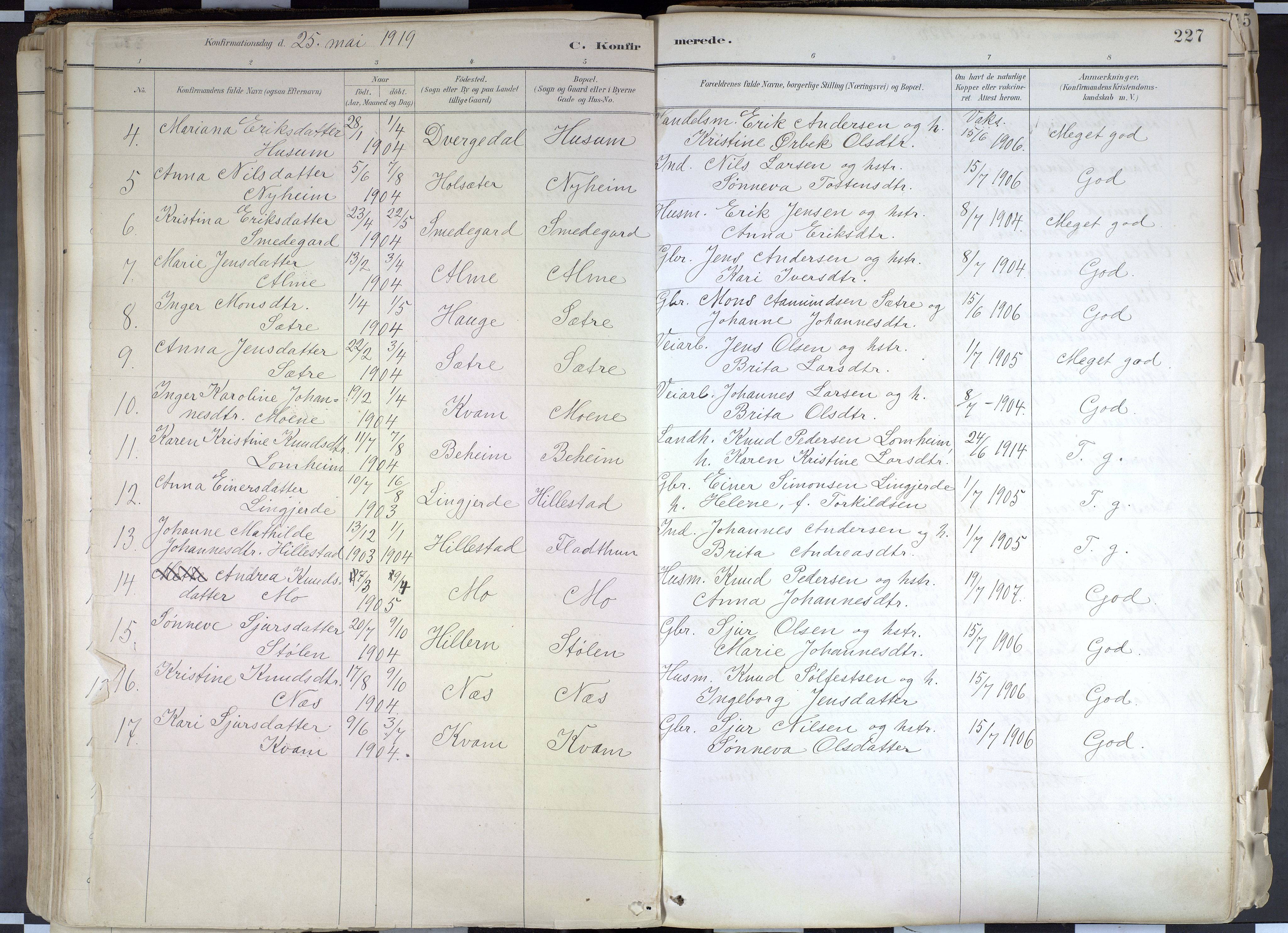 Hafslo sokneprestembete, SAB/A-80301/H/Haa/Haab/L0001: Parish register (official) no. B 1, 1886-1945, p. 227