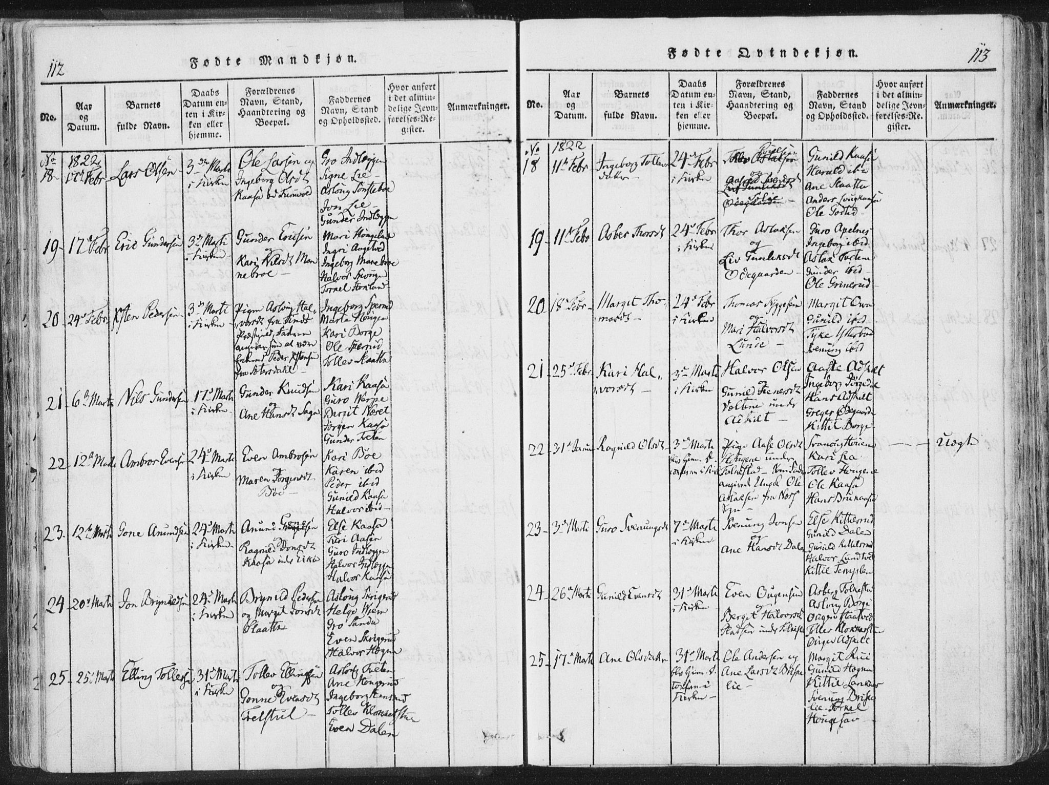 Bø kirkebøker, AV/SAKO-A-257/F/Fa/L0006: Parish register (official) no. 6, 1815-1831, p. 112-113
