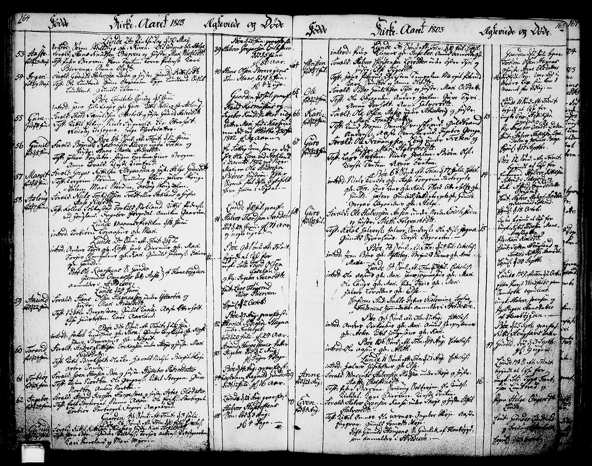 Bø kirkebøker, AV/SAKO-A-257/F/Fa/L0005: Parish register (official) no. 5, 1785-1815, p. 164-165