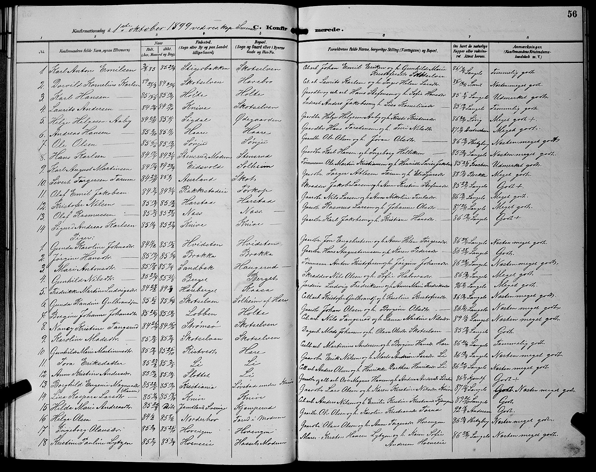 Eiker kirkebøker, AV/SAKO-A-4/G/Gb/L0004: Parish register (copy) no. II 4, 1894-1900, p. 56