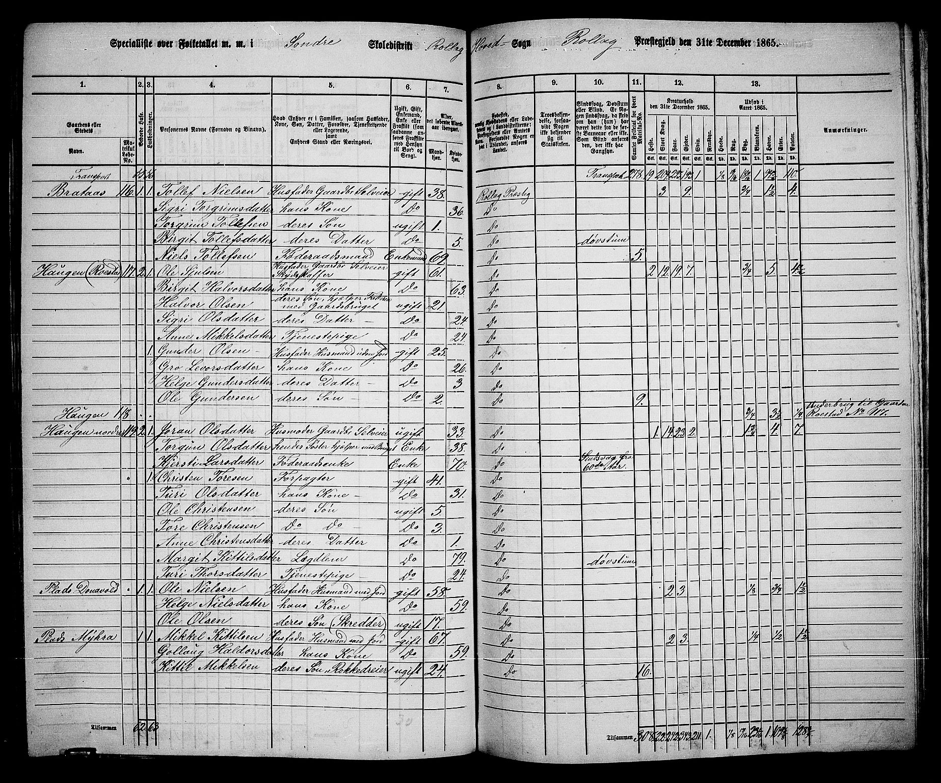 RA, 1865 census for Rollag, 1865, p. 16