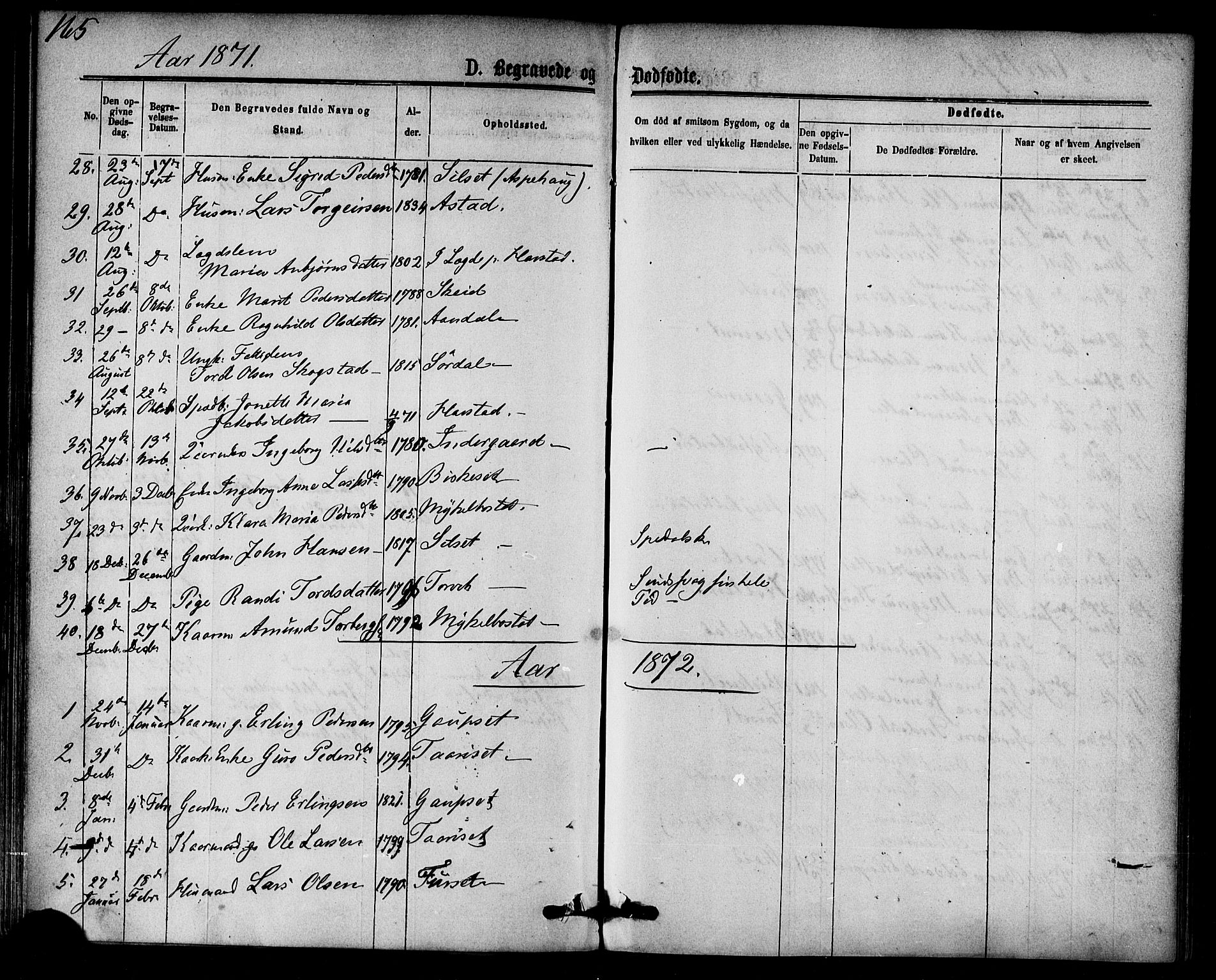 Ministerialprotokoller, klokkerbøker og fødselsregistre - Møre og Romsdal, AV/SAT-A-1454/584/L0966: Parish register (official) no. 584A06, 1869-1878, p. 165