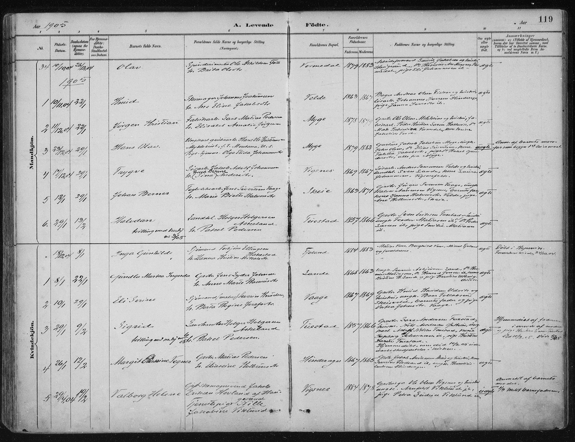 Avaldsnes sokneprestkontor, SAST/A -101851/H/Ha/Haa/L0017: Parish register (official) no. A 17, 1889-1920, p. 119