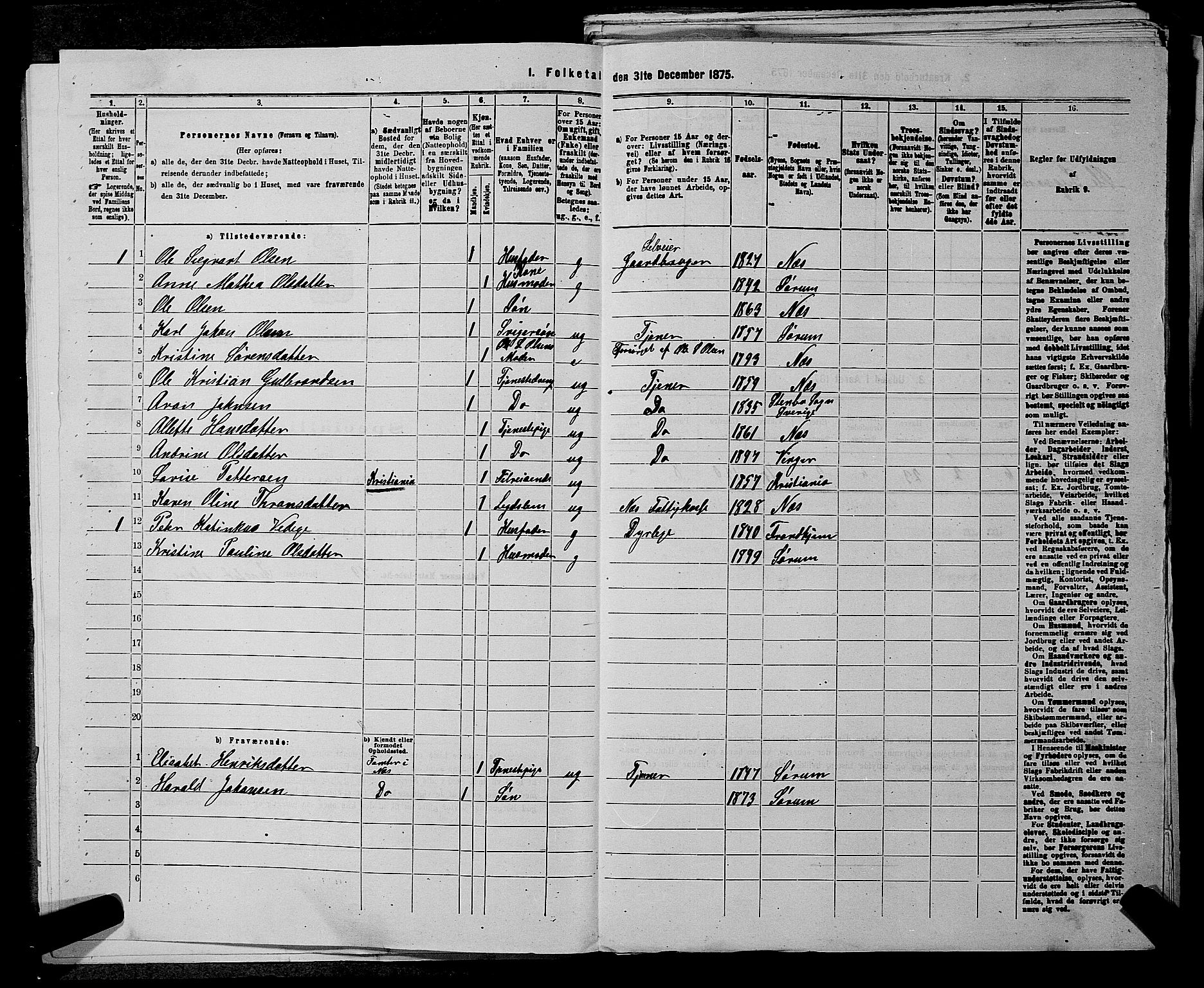 RA, 1875 census for 0236P Nes, 1875, p. 702