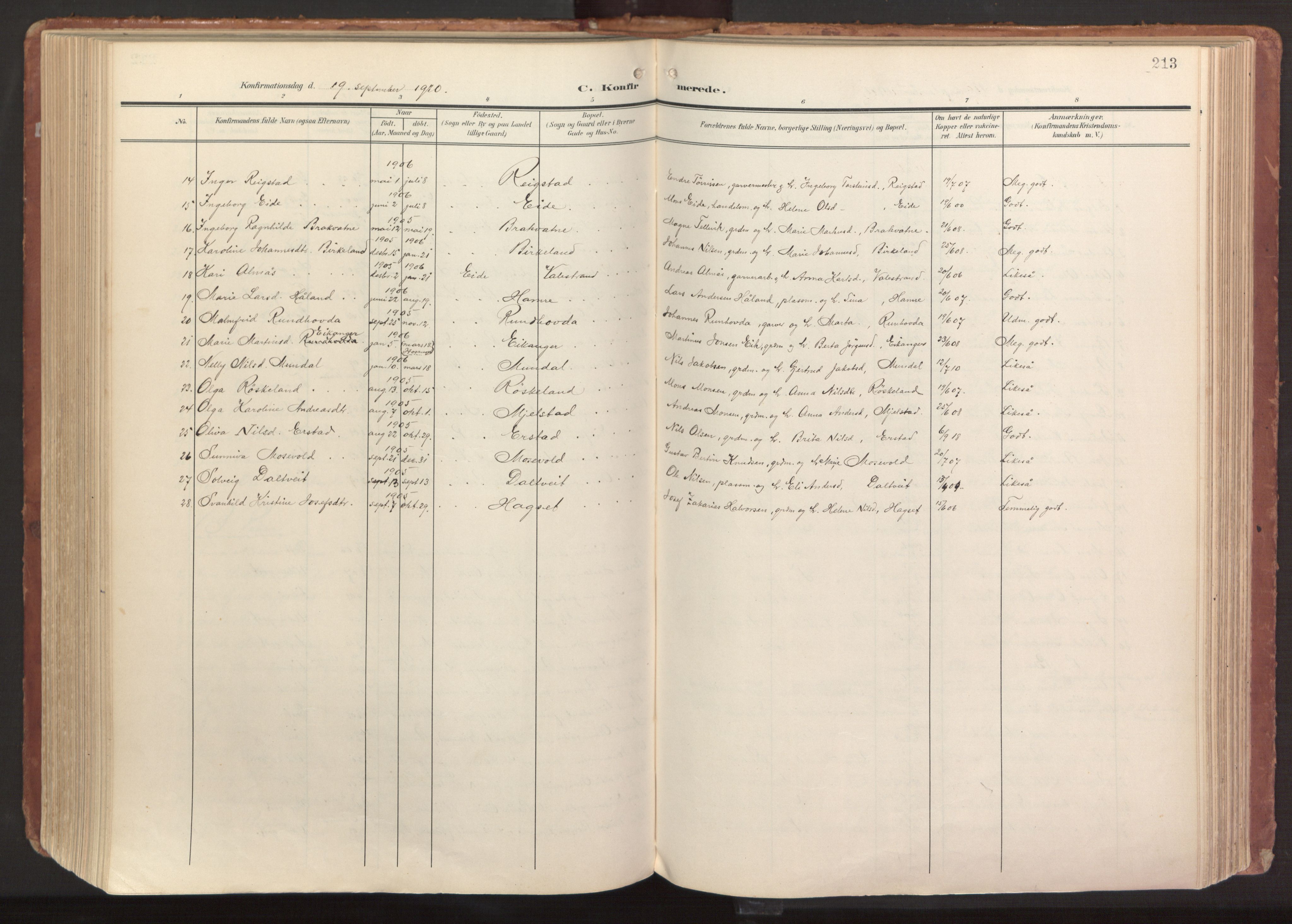 Hamre sokneprestembete, AV/SAB-A-75501/H/Ha/Haa/Haab/L0002: Parish register (official) no. B 2, 1905-1924, p. 213