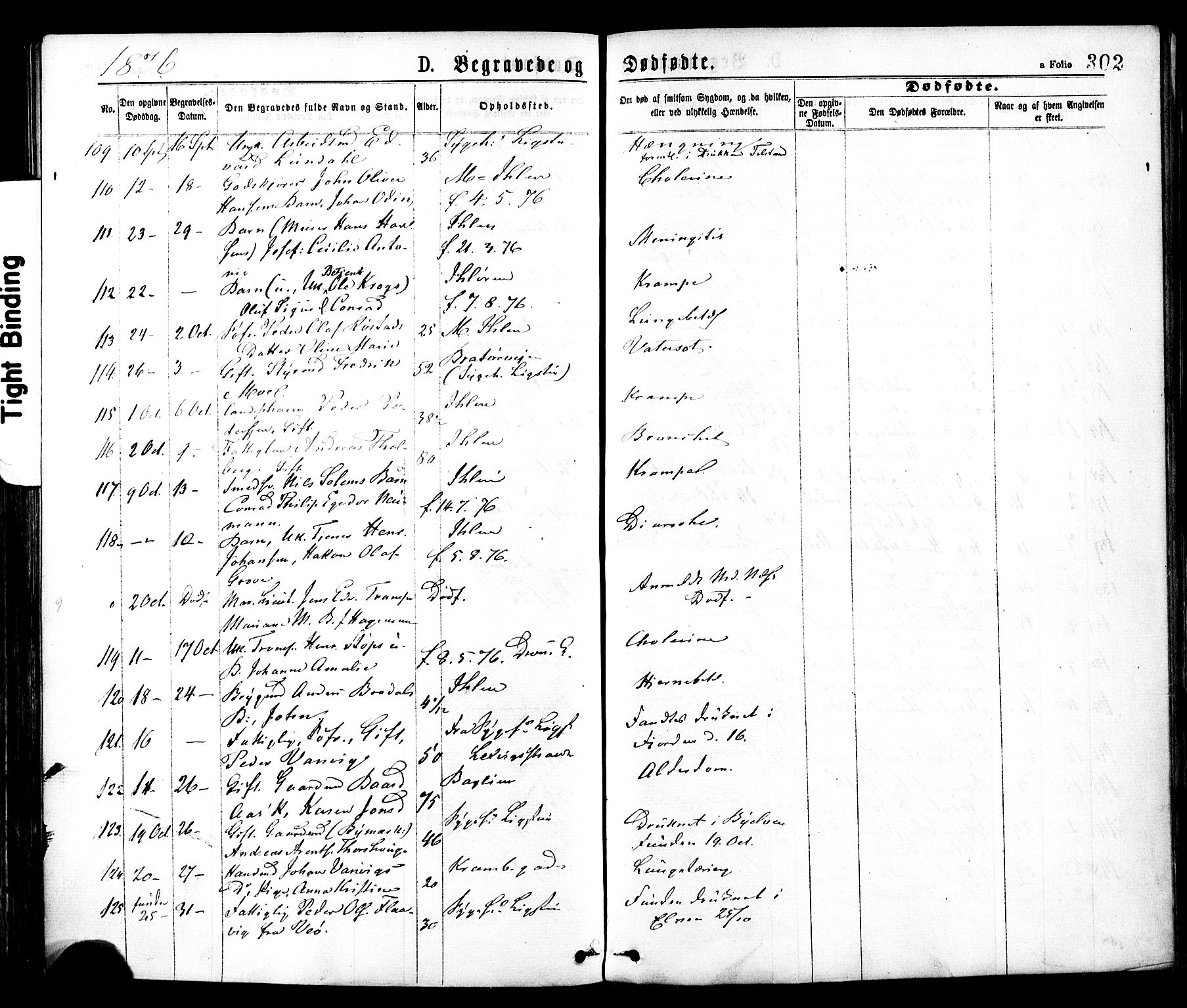 Ministerialprotokoller, klokkerbøker og fødselsregistre - Sør-Trøndelag, AV/SAT-A-1456/602/L0118: Parish register (official) no. 602A16, 1873-1879, p. 302