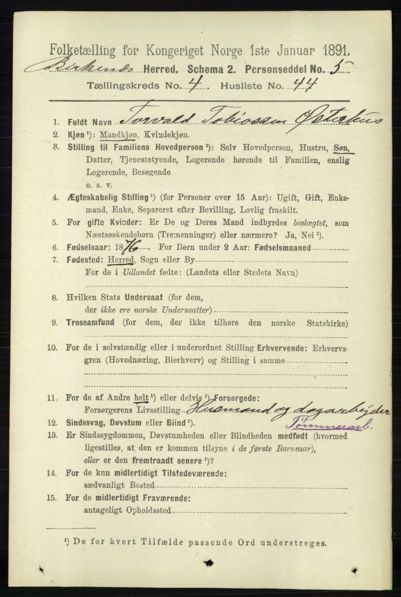 RA, 1891 Census for 0928 Birkenes, 1891, p. 1491