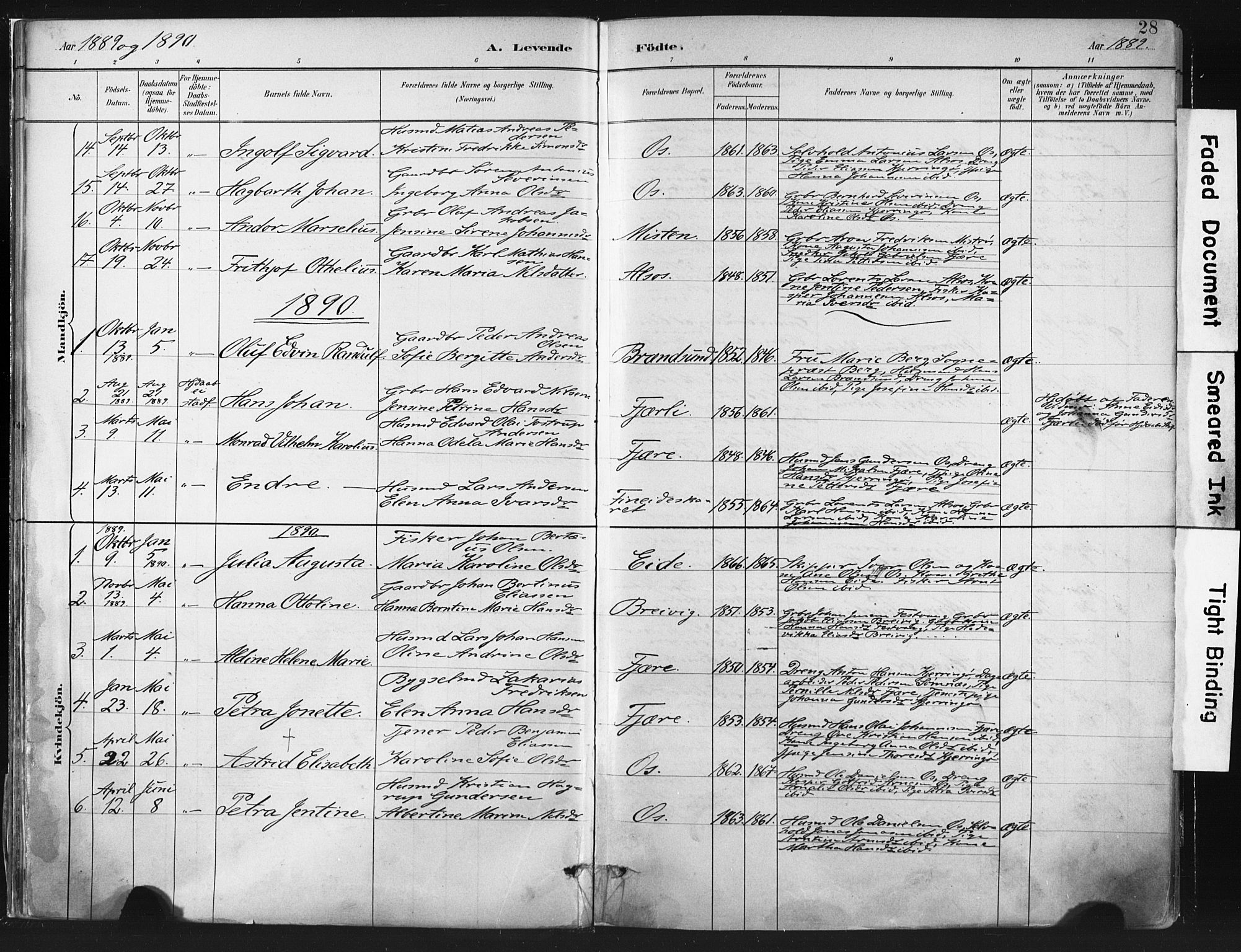 Ministerialprotokoller, klokkerbøker og fødselsregistre - Nordland, AV/SAT-A-1459/803/L0071: Parish register (official) no. 803A01, 1881-1897, p. 28